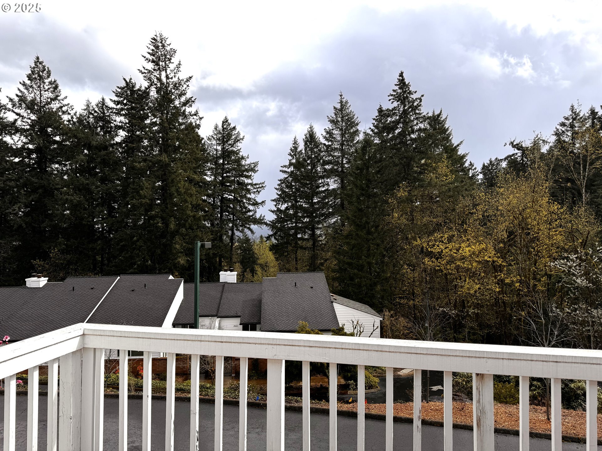 Photo #4: 540608222 Listing 