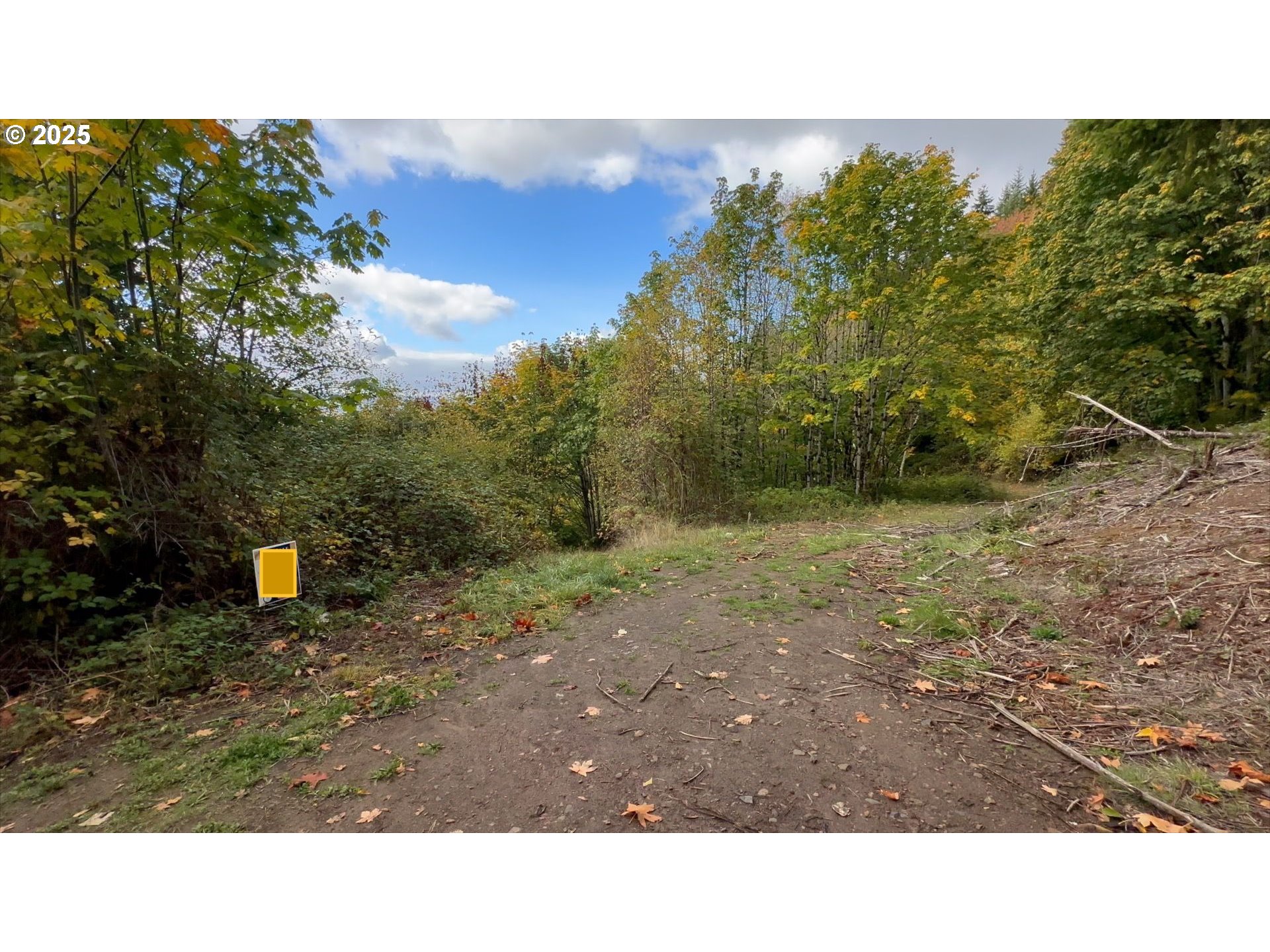 Search Homes for Sale