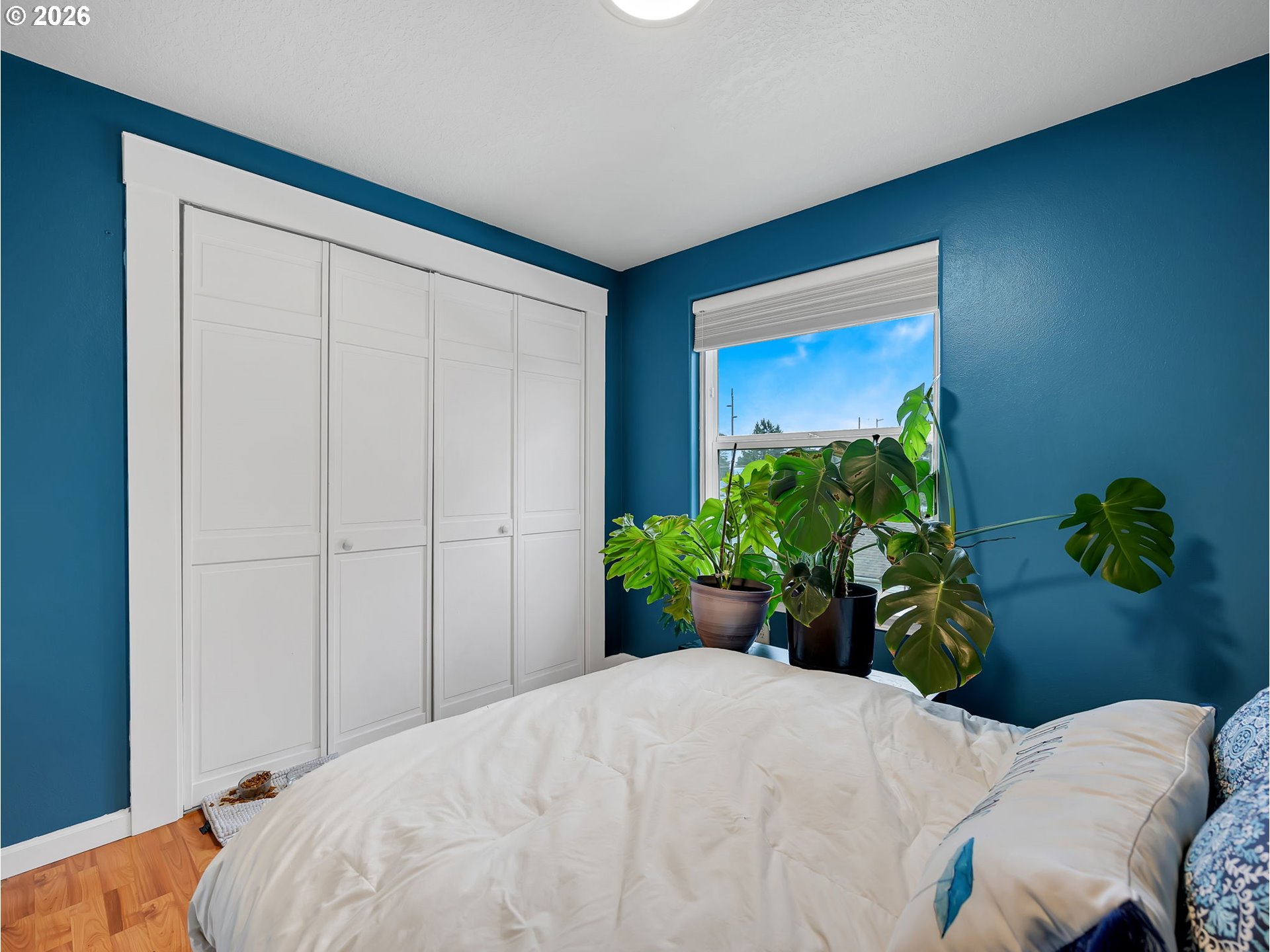 Photo #13: 541019359 Listing: Photo #13