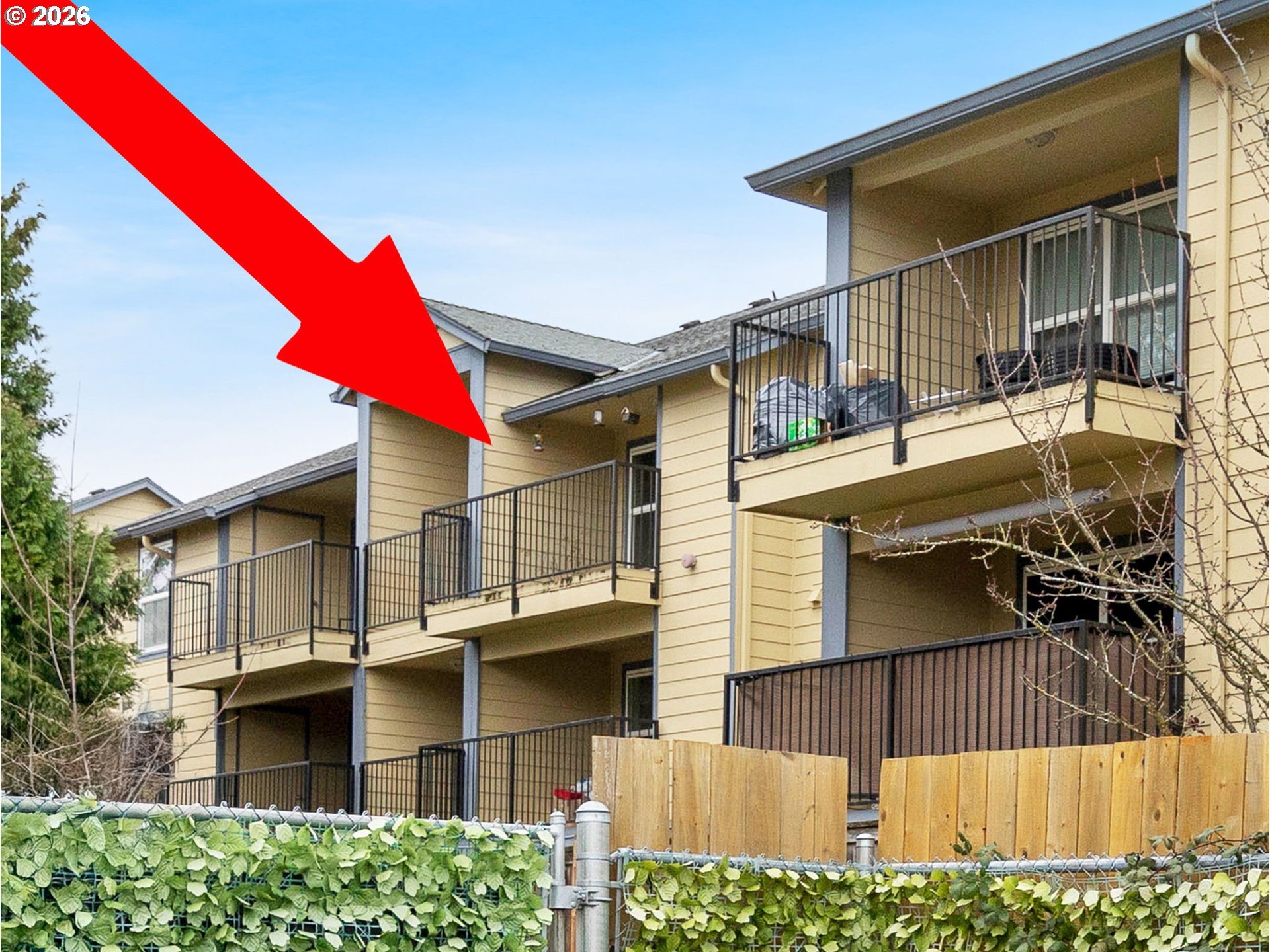 Photo #28: 541019359 Listing: Photo #28