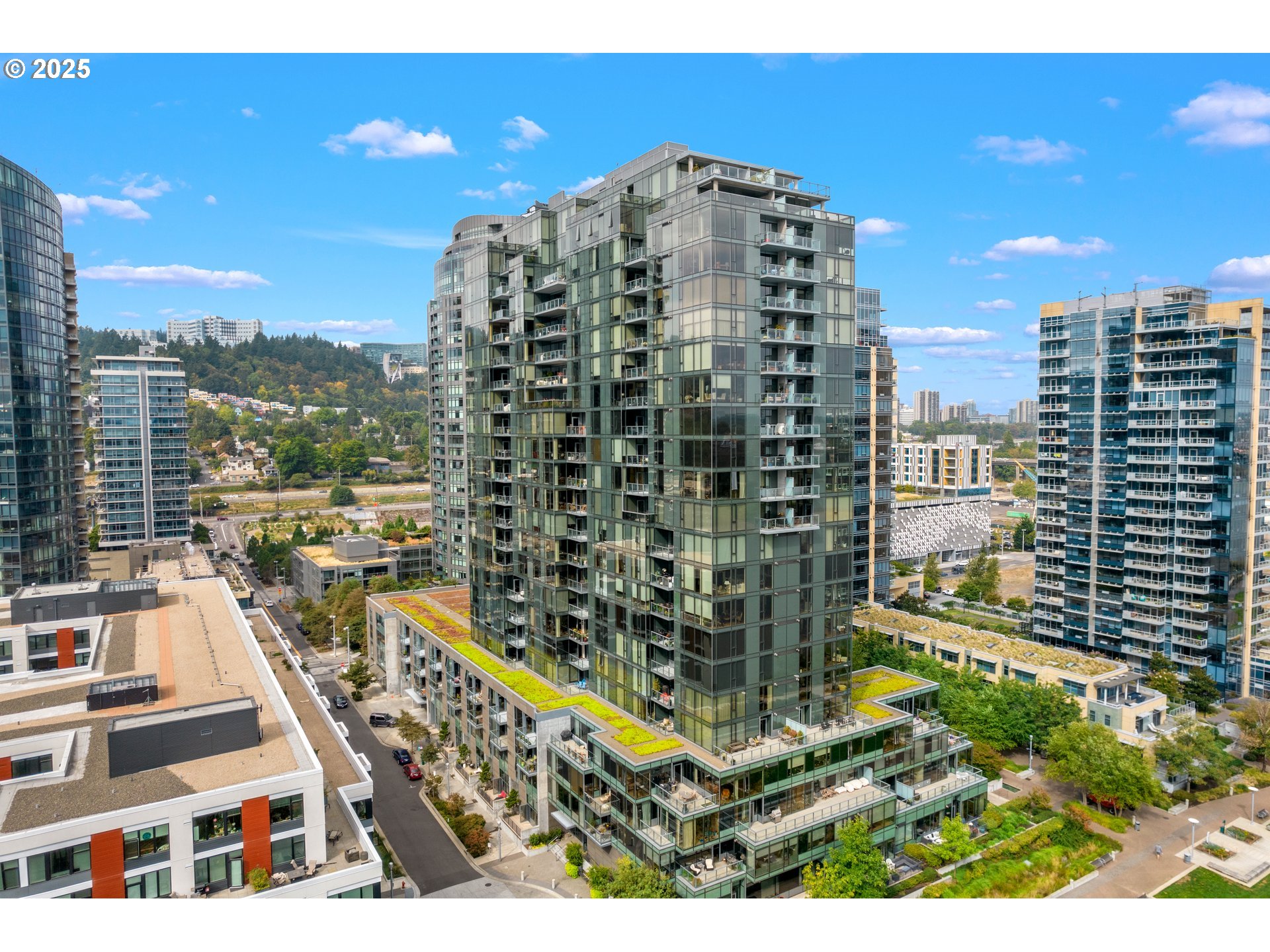 Photo #5: 542963796 Listing 