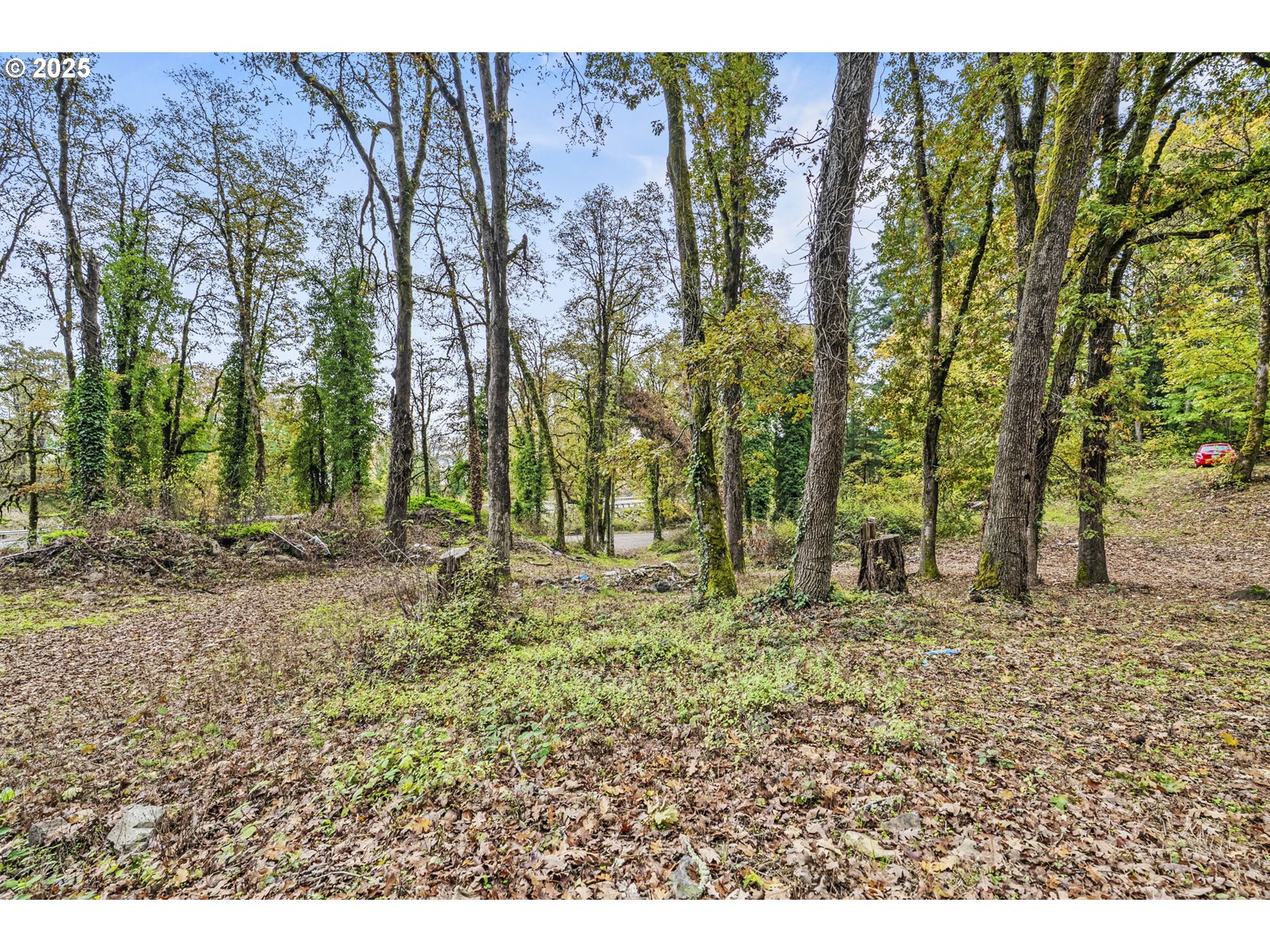 Search Homes for Sale