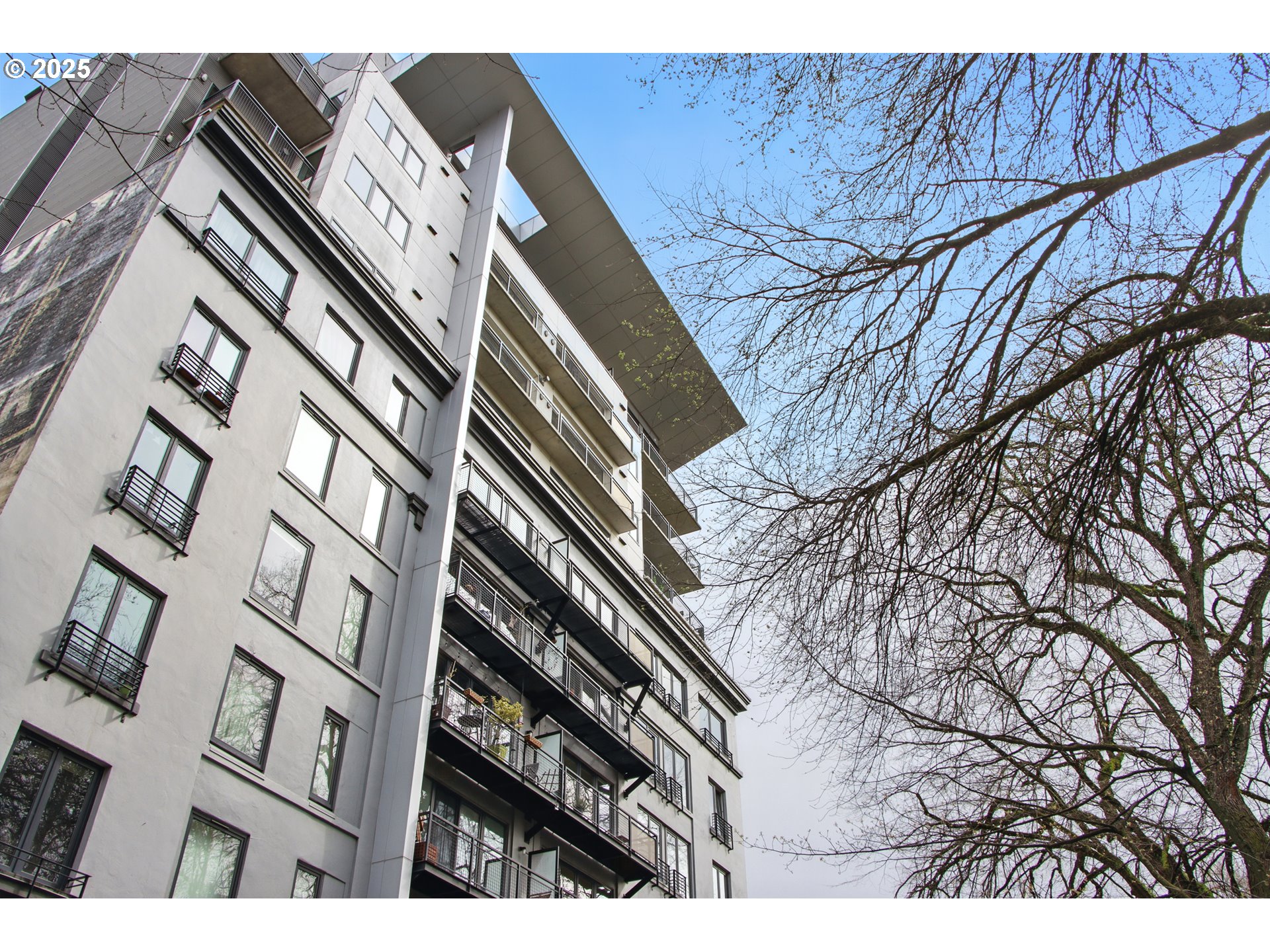 Photo #13: 545696514 Listing: Photo #13