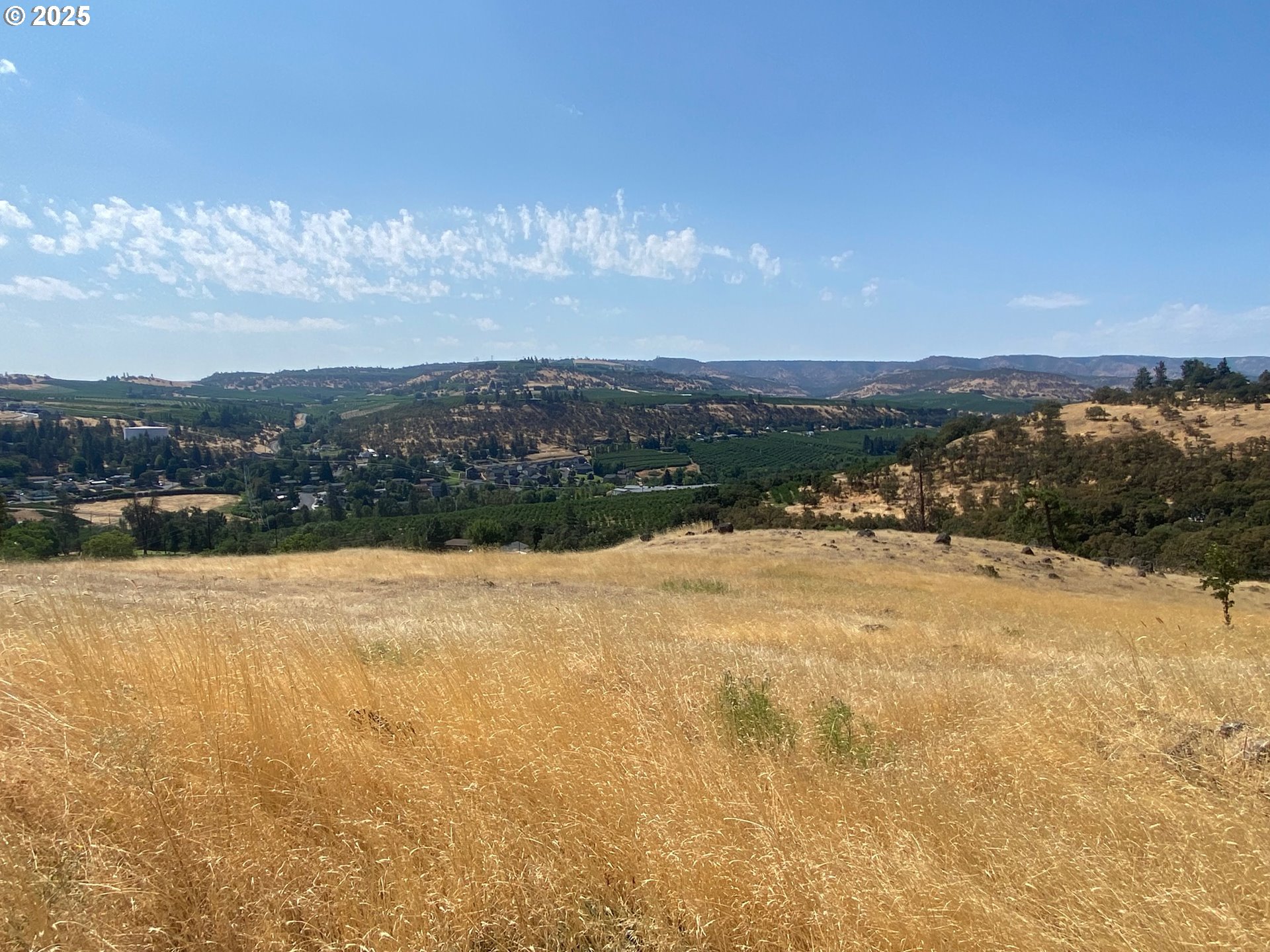 Search Homes for Sale