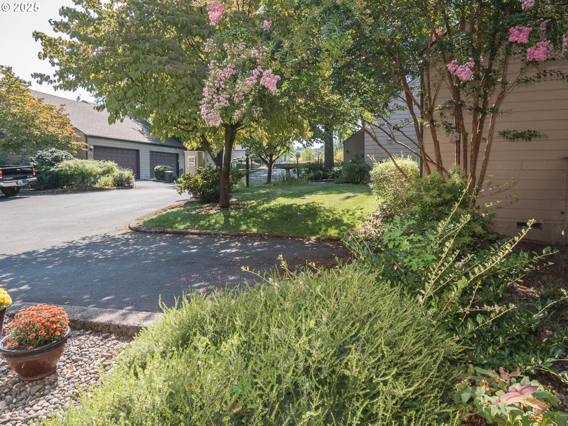 Photo #4: 549318582 Listing 