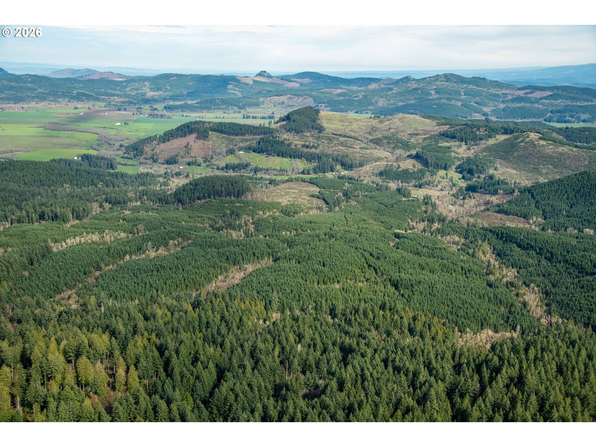 Search Homes for Sale