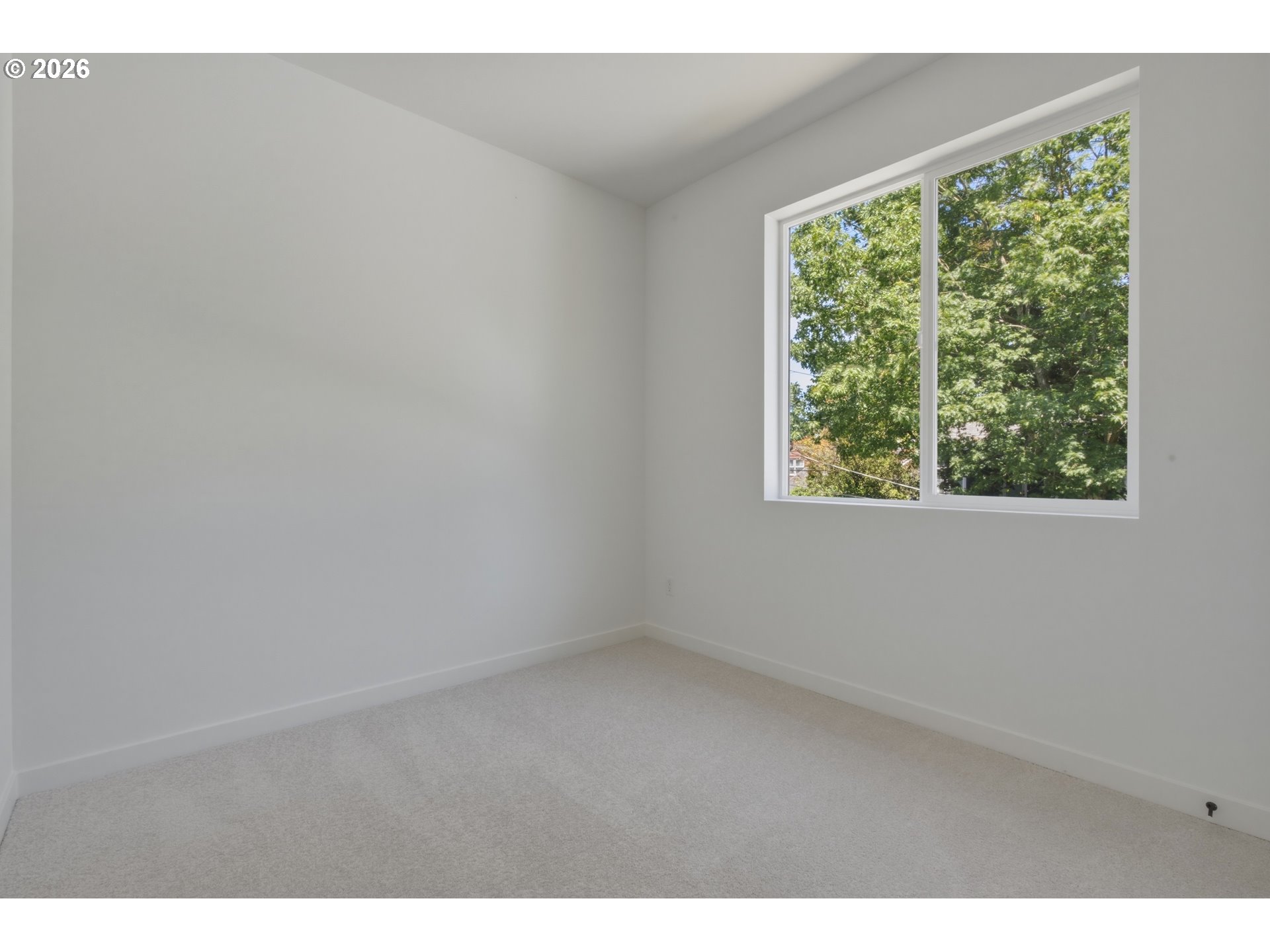 Photo #15: 554467419 Listing: Photo #15