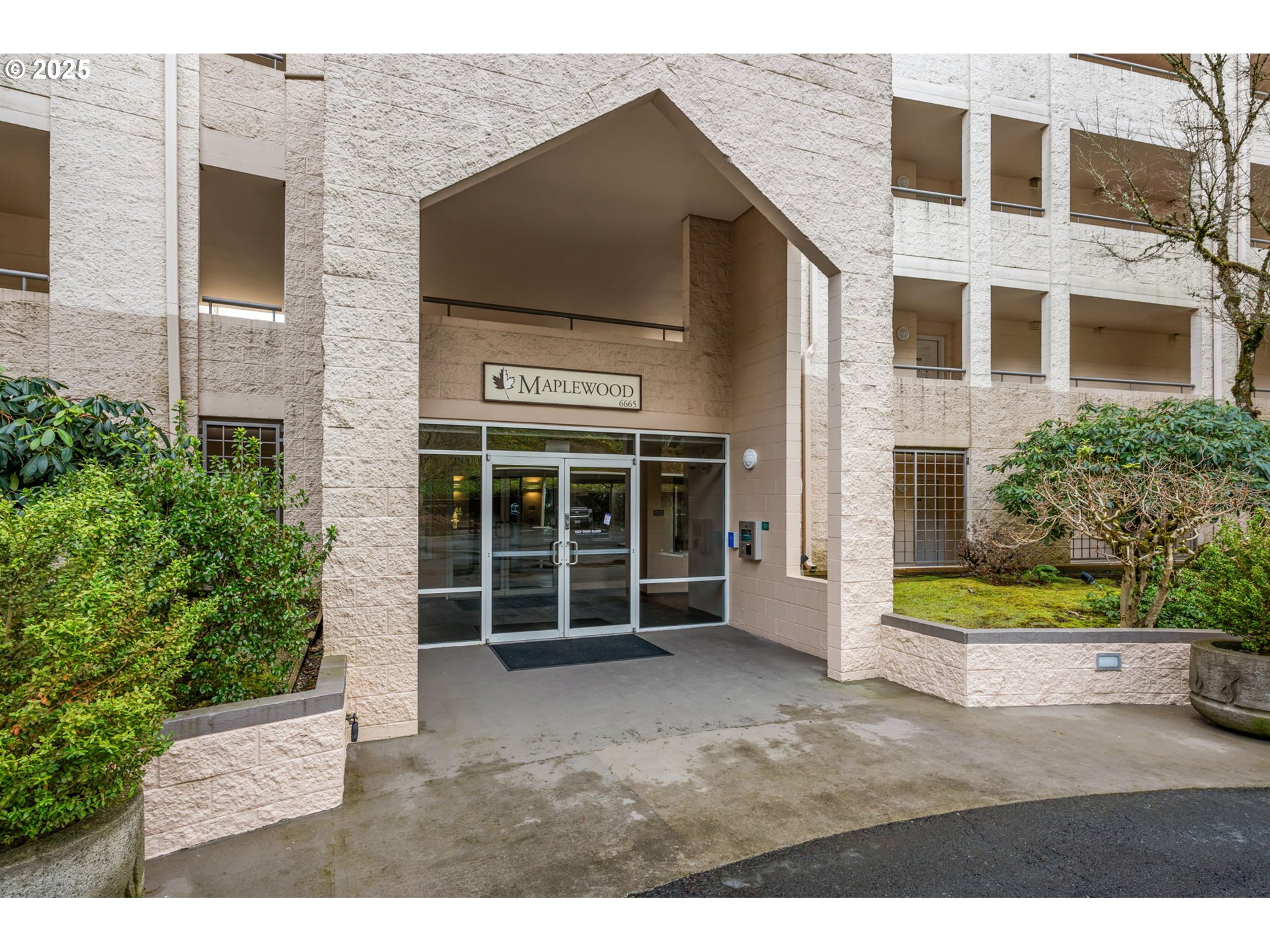 Photo #2: 556489198 Listing 