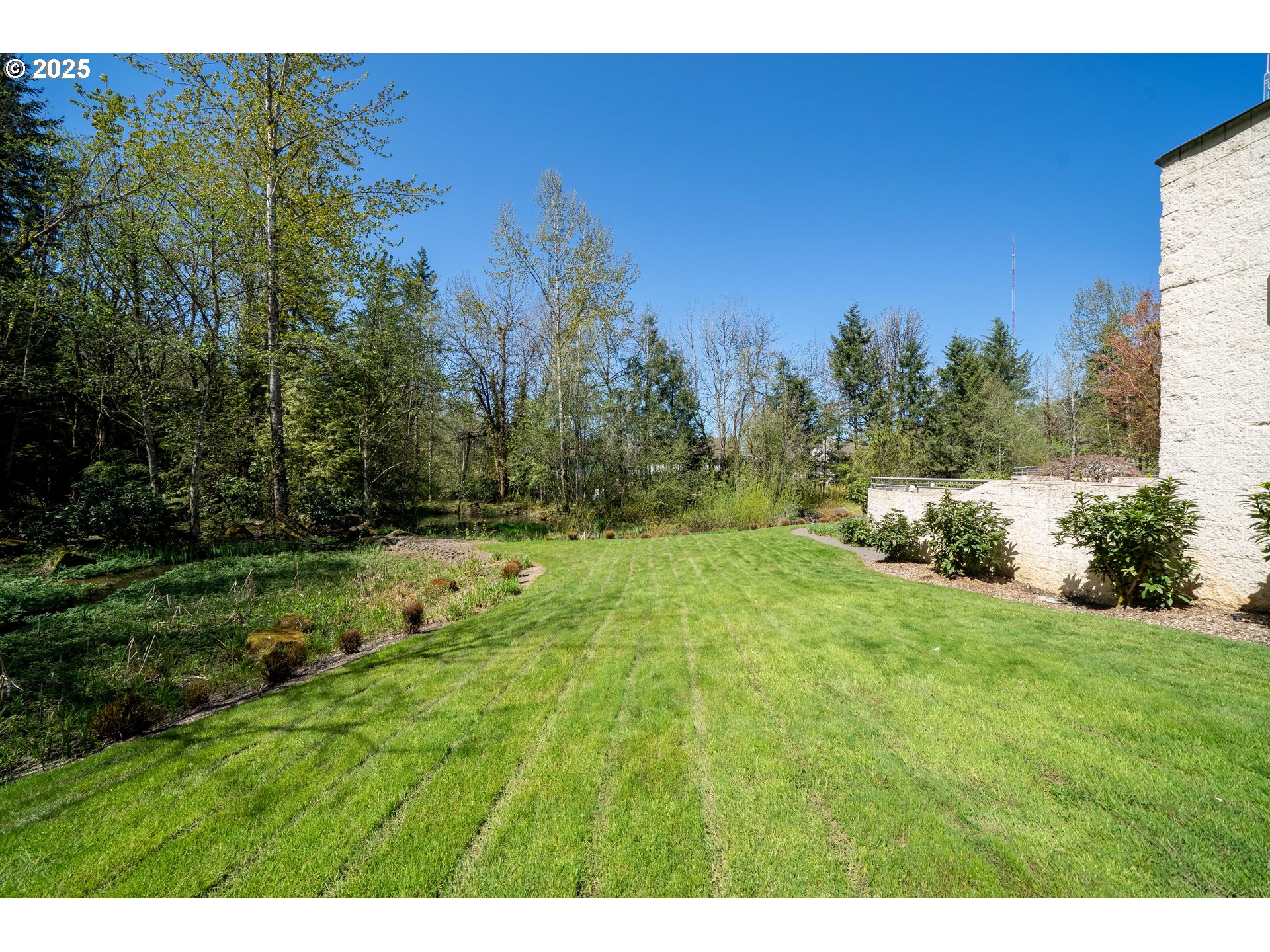 Photo #27: 556489198 Listing: Photo #27