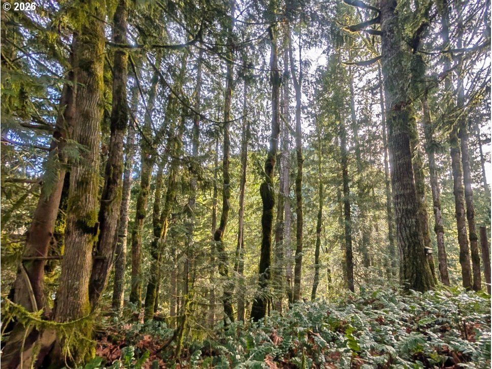 Search Homes for Sale