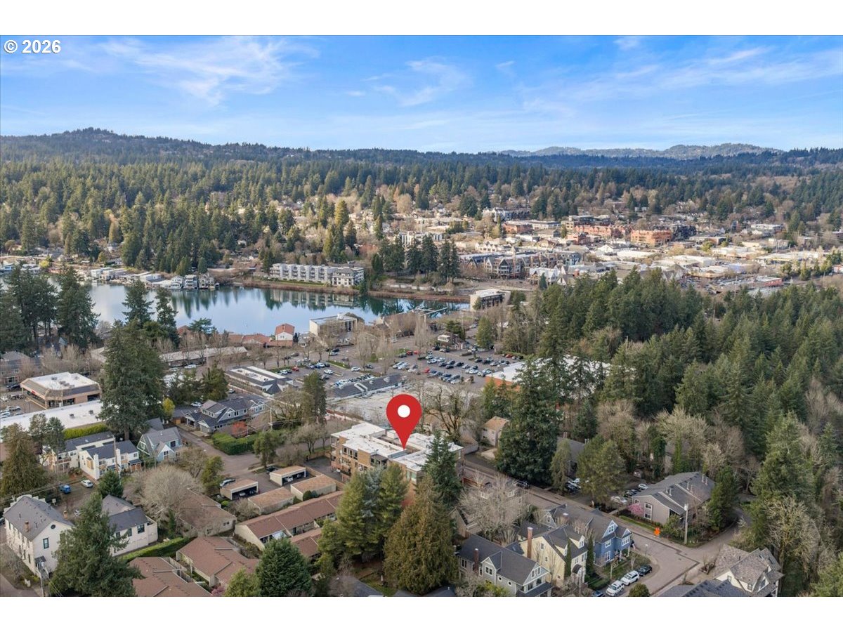 Photo #35: 557468517 Listing: Photo #35