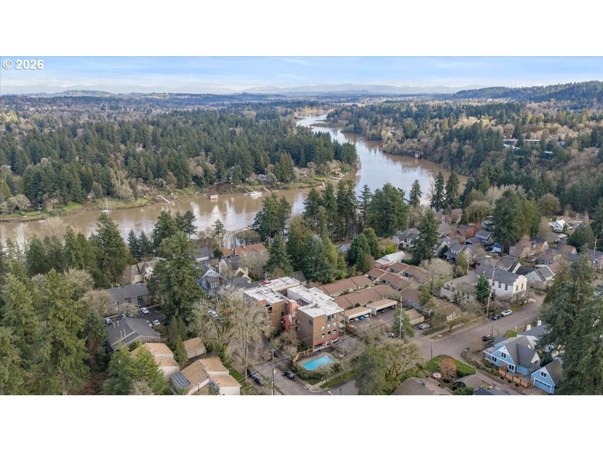 Photo #38: 557468517 Listing: Photo #38