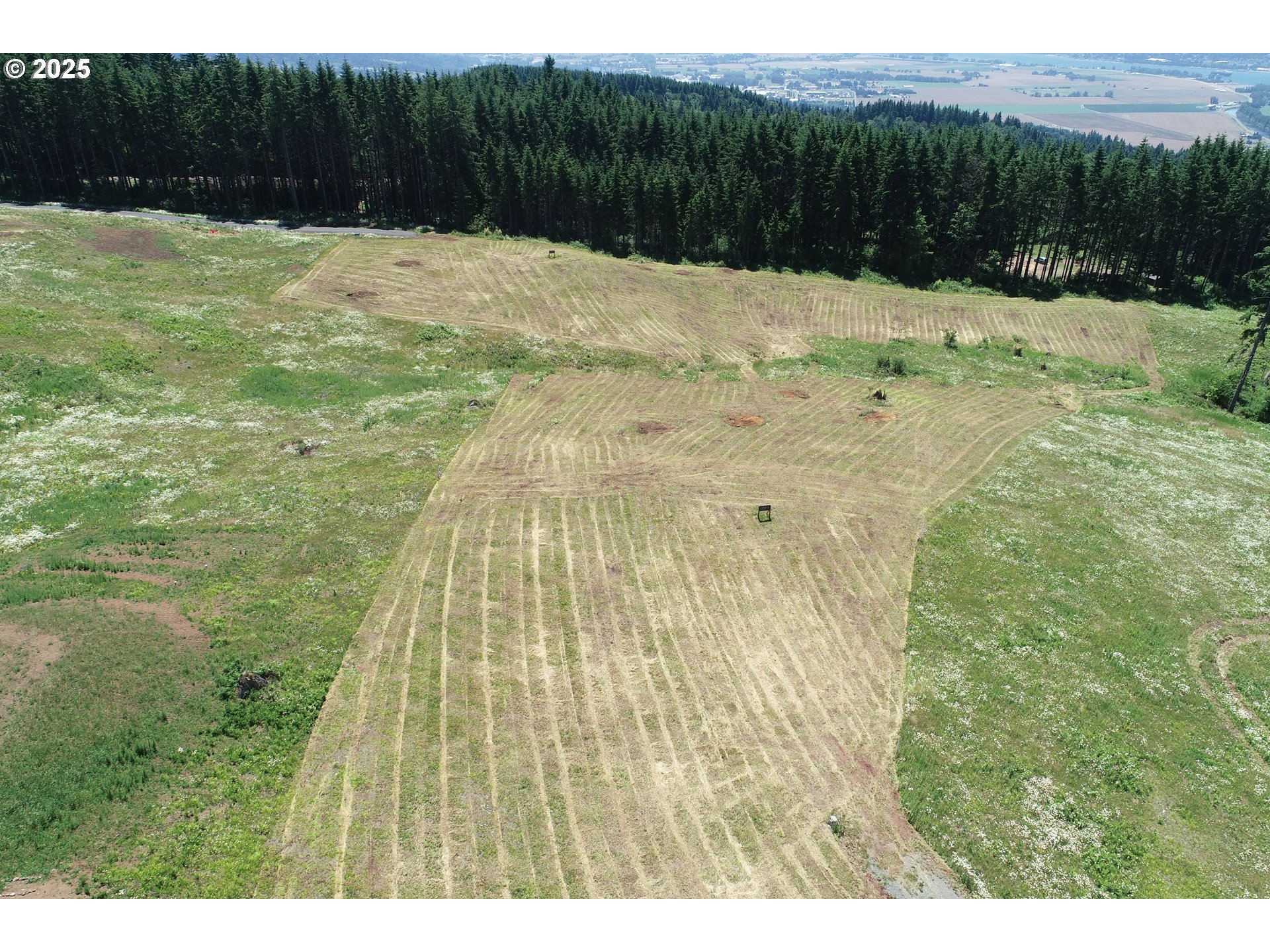 Search Homes for Sale