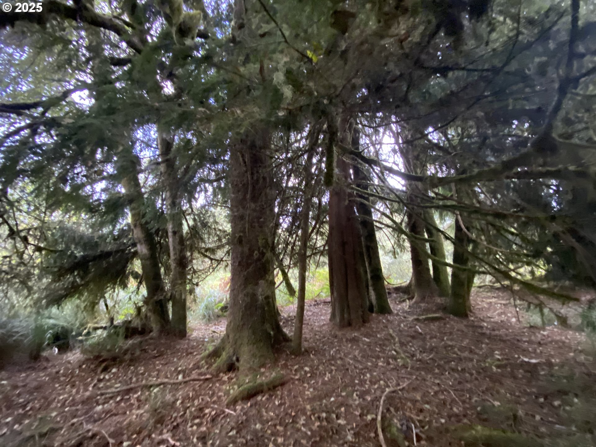 Search Homes for Sale