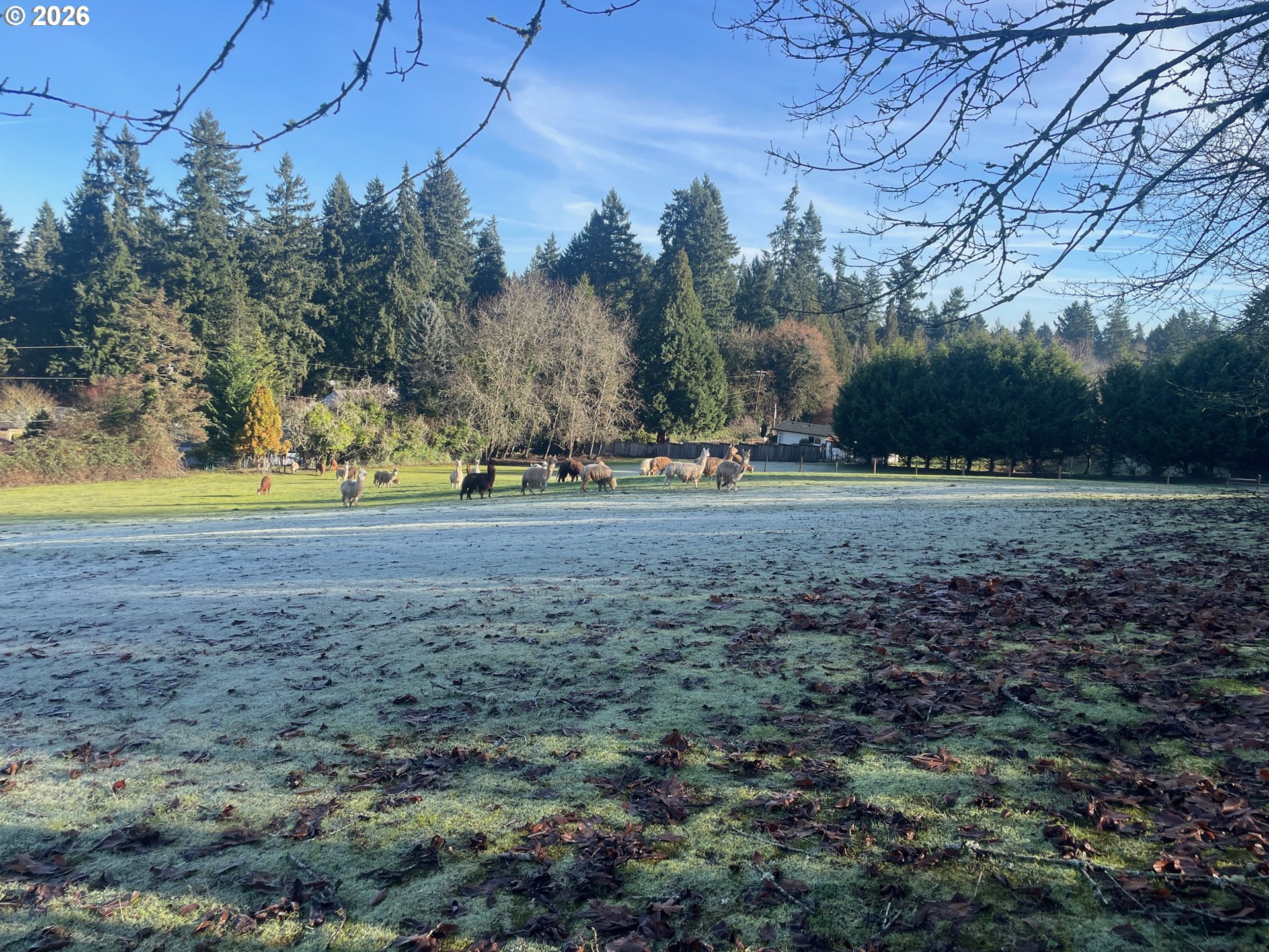 12101 NW 17TH AVE, Vancouver, 2 Bedrooms Bedrooms, ,2 BathroomsBathrooms,Residential,For Sale,17TH,0,558808926