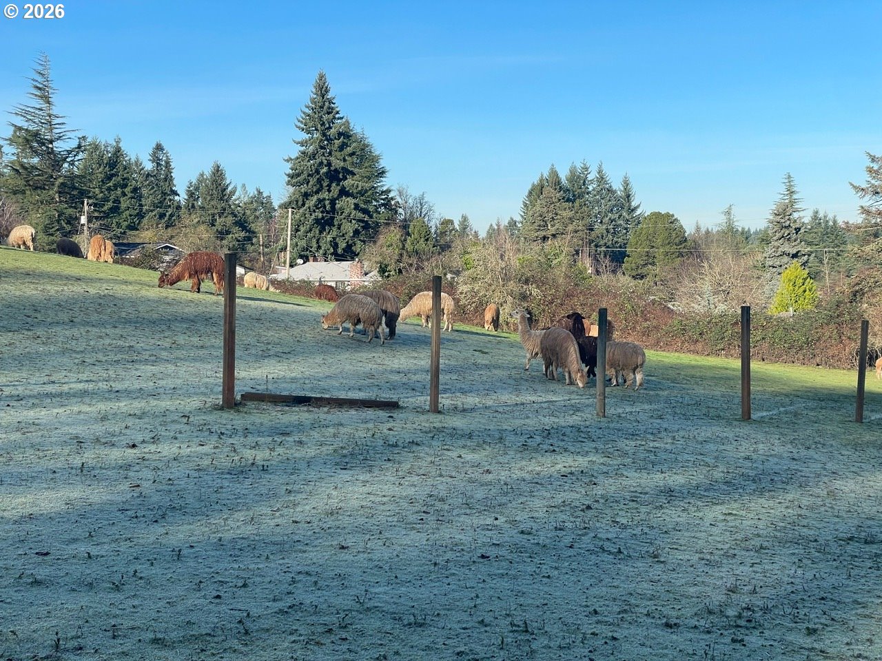 12101 NW 17TH AVE, Vancouver, 2 Bedrooms Bedrooms, ,2 BathroomsBathrooms,Residential,For Sale,17TH,0,558808926