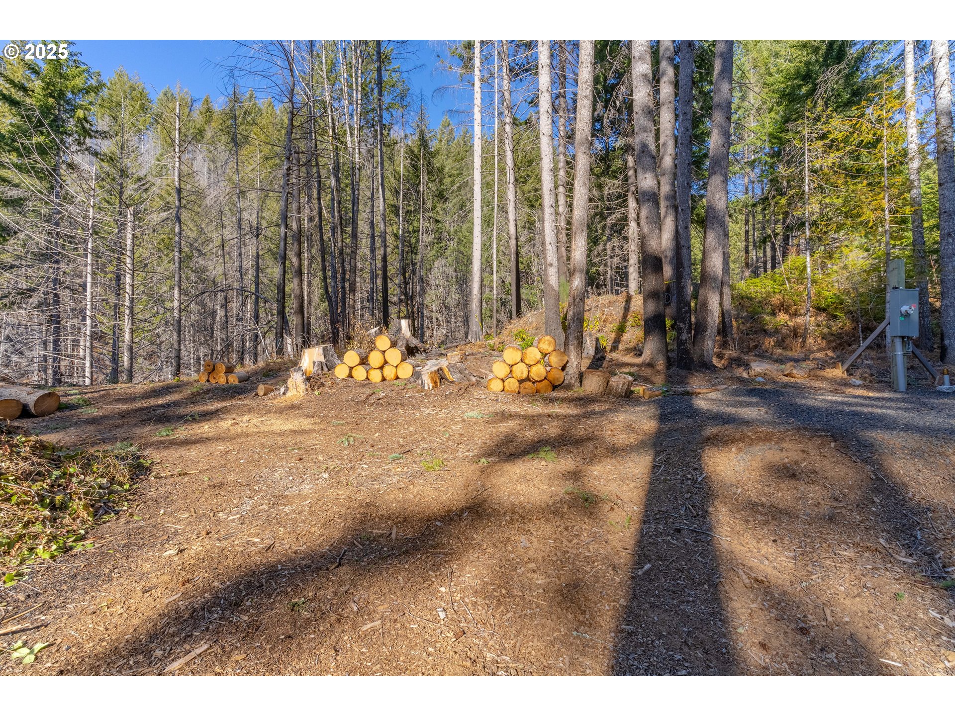 1573 NW Adelaide ST UNIT 92, Mc Minnville, OR, 97128