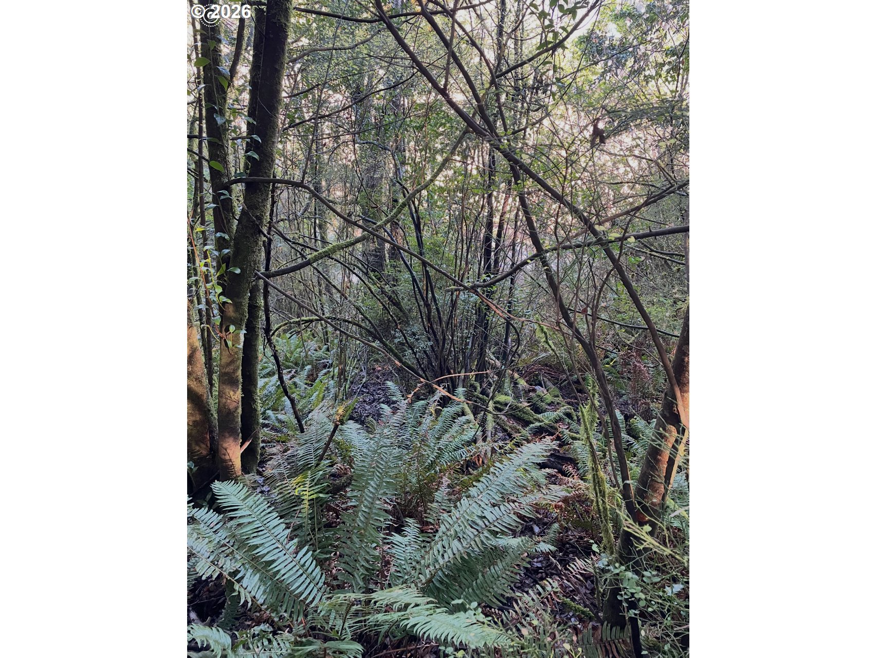 Search Homes for Sale