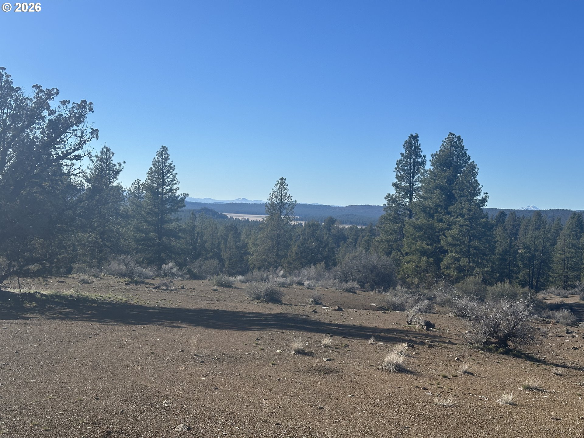 Search Homes for Sale