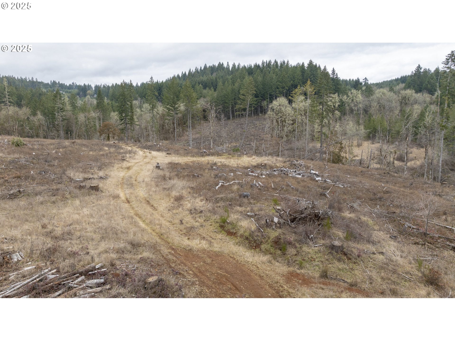 0 NW Panther Creek, Carlton, OR, 97111