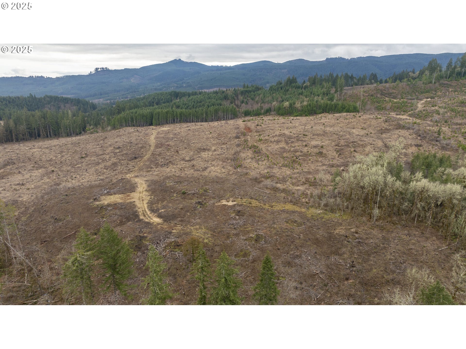 0 NW Panther Creek, Carlton, OR, 97111