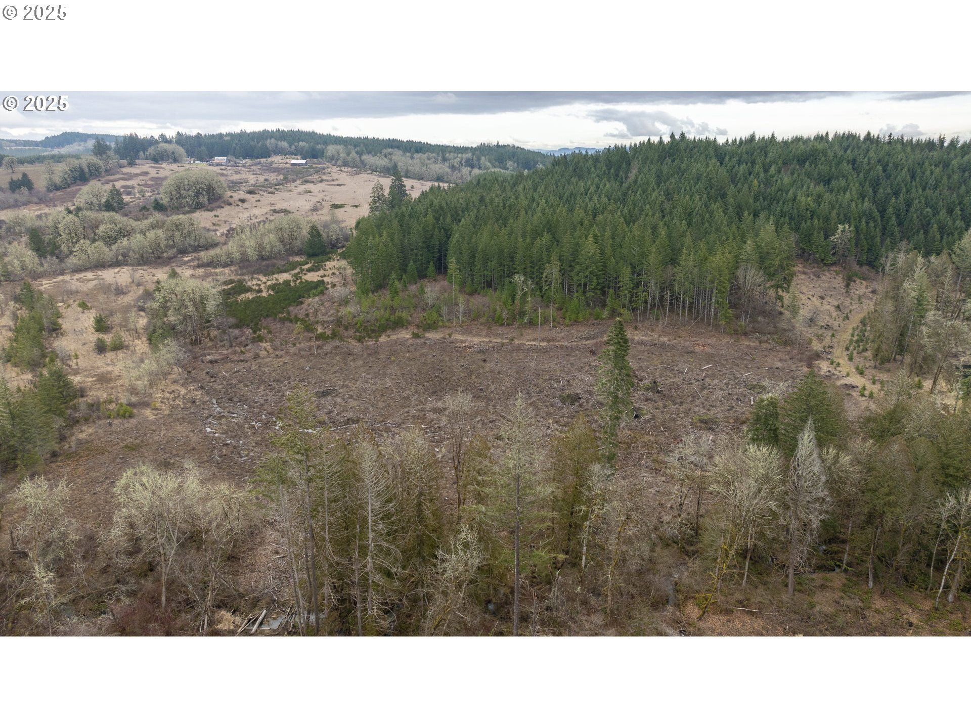 0 NW Panther Creek, Carlton, OR, 97111