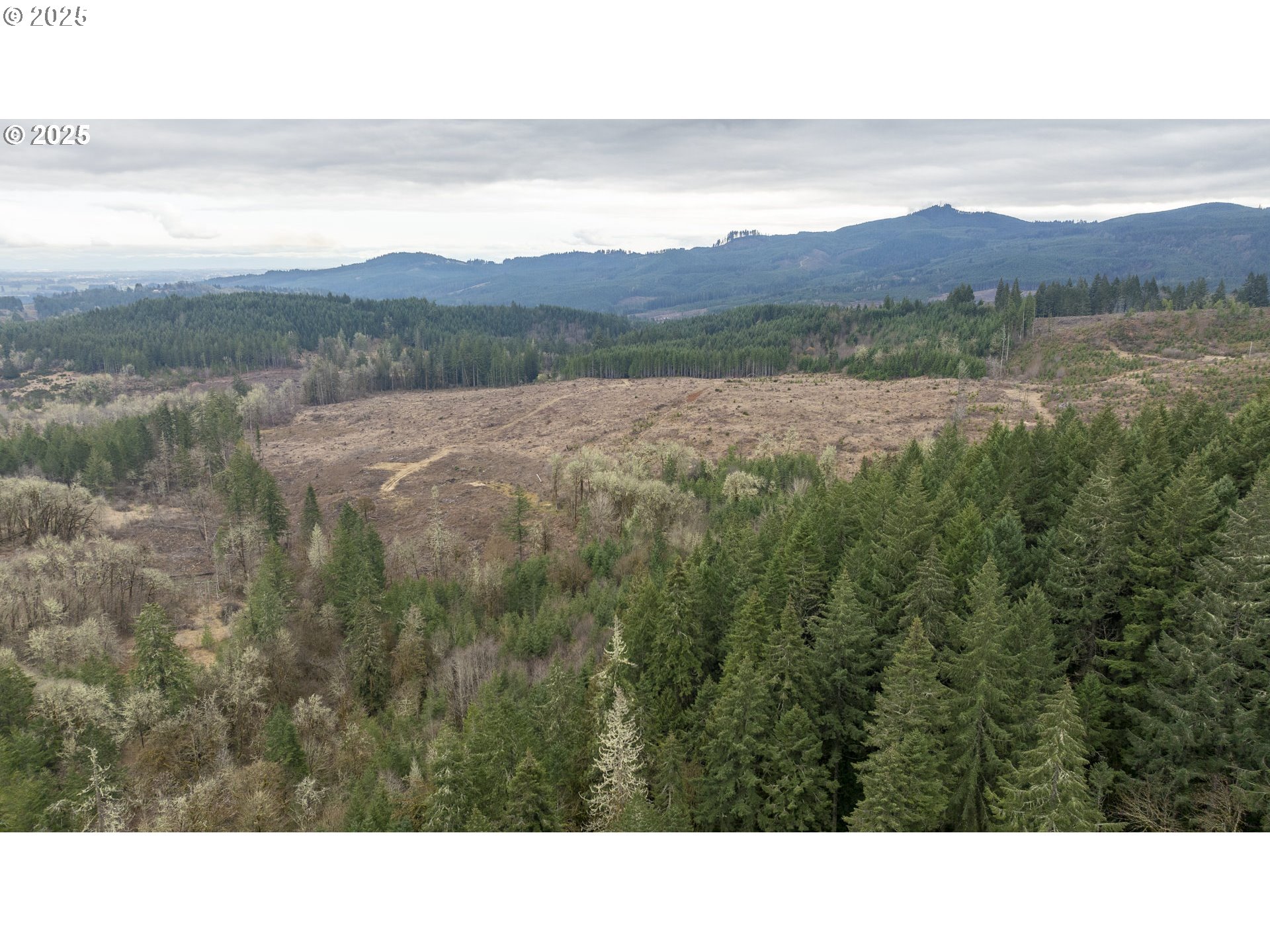 0 NW Panther Creek, Carlton, OR, 97111