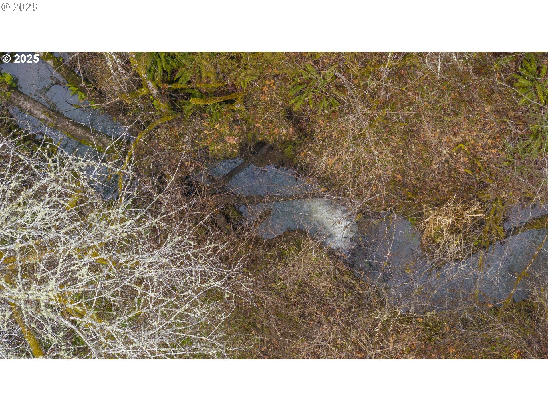 0 NW Panther Creek, Carlton, OR, 97111