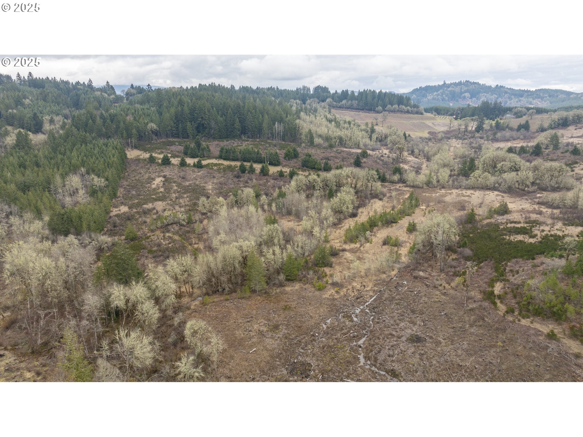 0 NW Panther Creek, Carlton, OR, 97111