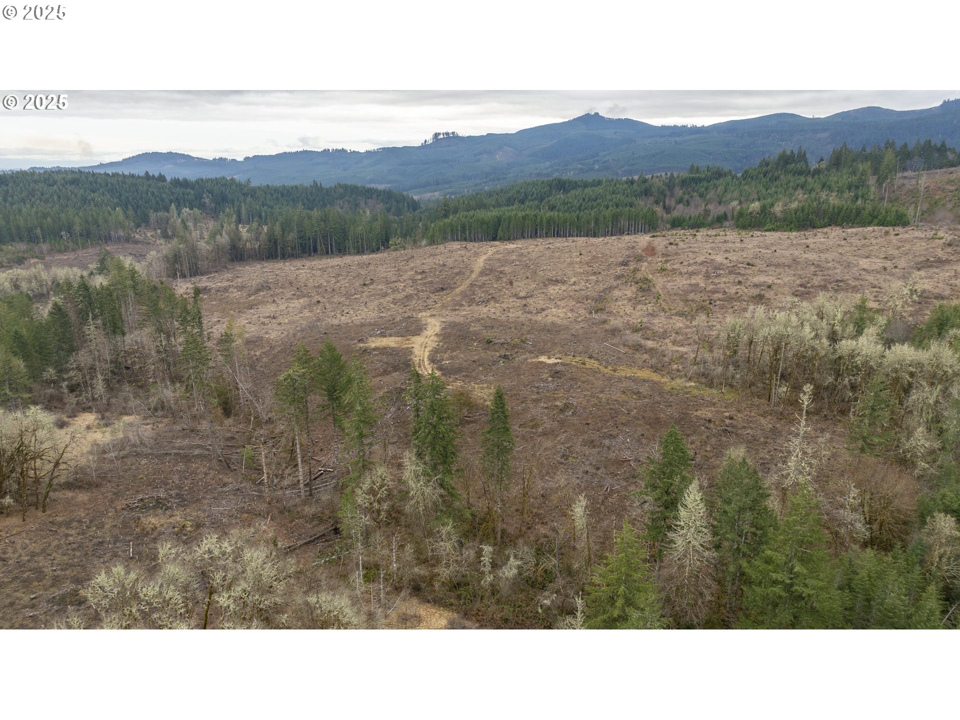 0 NW Panther Creek, Carlton, OR, 97111