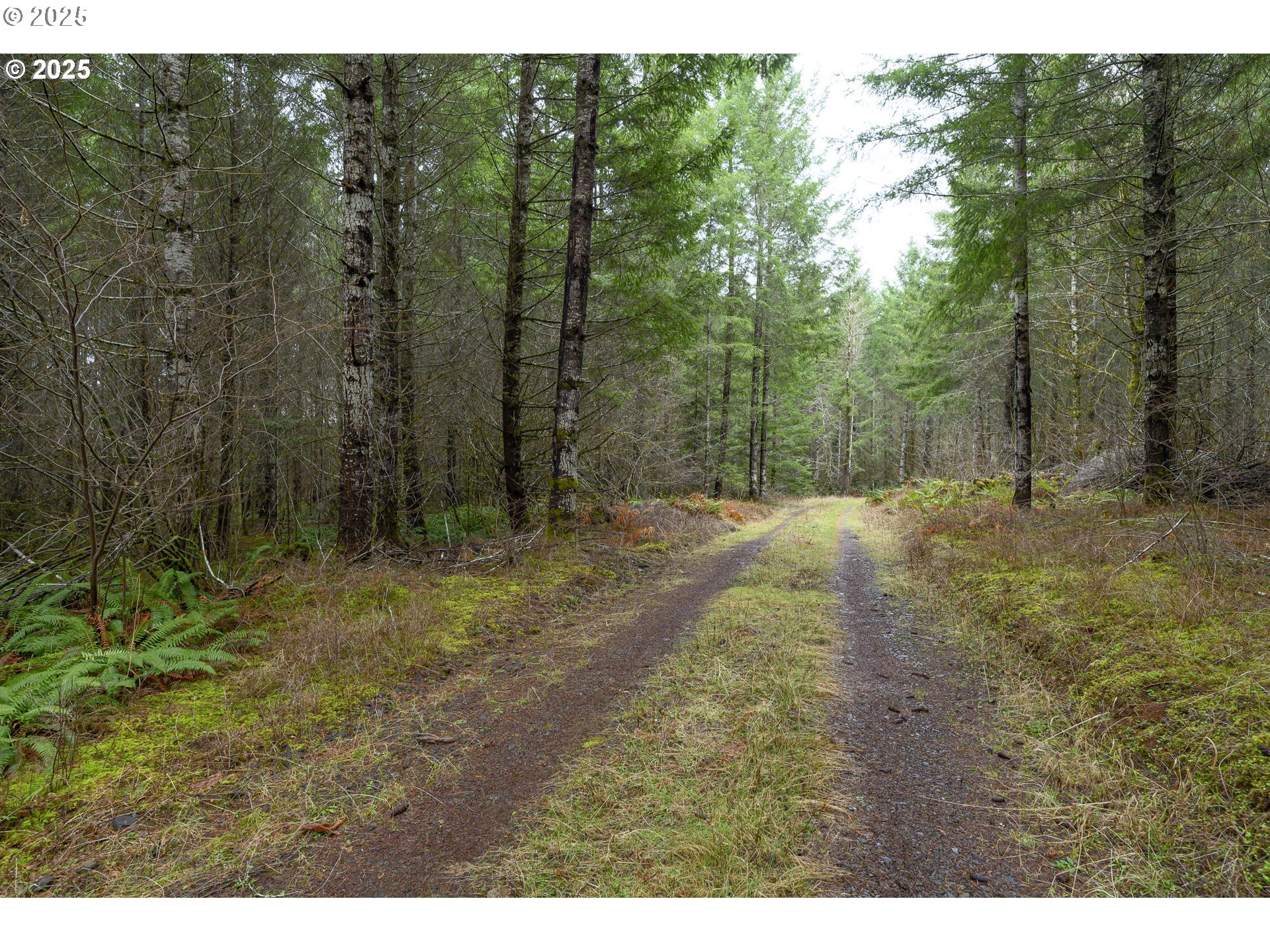 0 NW Panther Creek, Carlton, OR, 97111