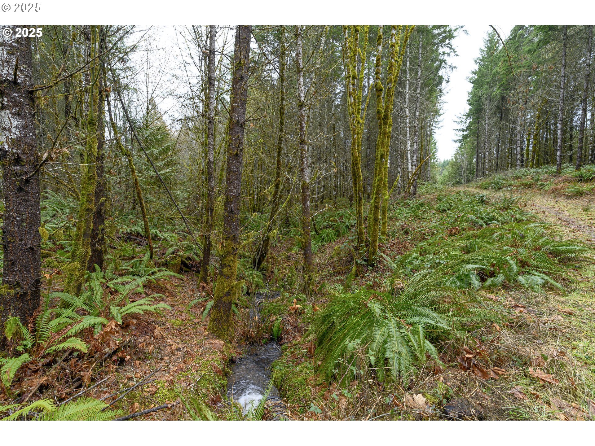 0 NW Panther Creek, Carlton, OR, 97111