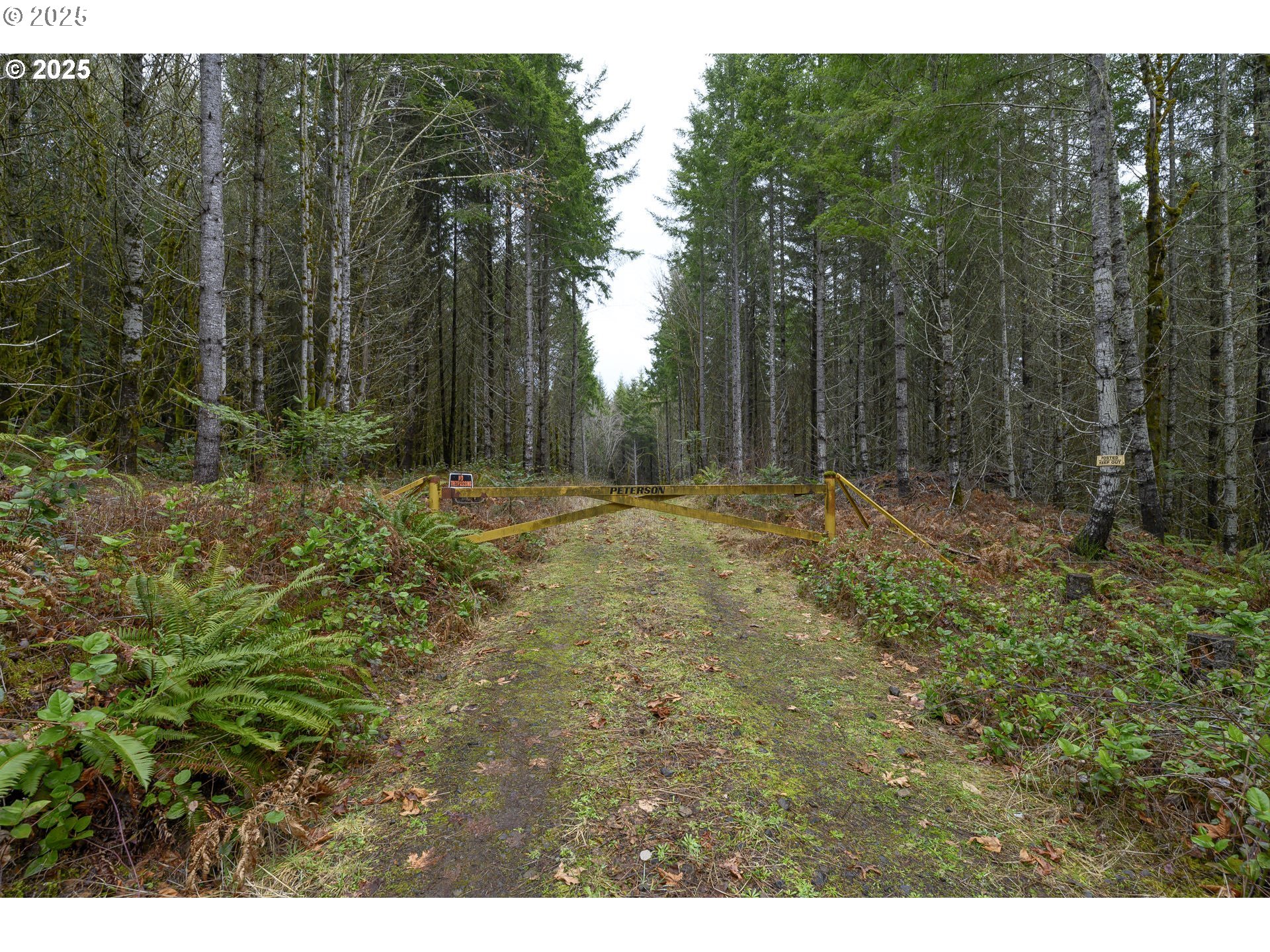 0 NW Panther Creek, Carlton, OR, 97111