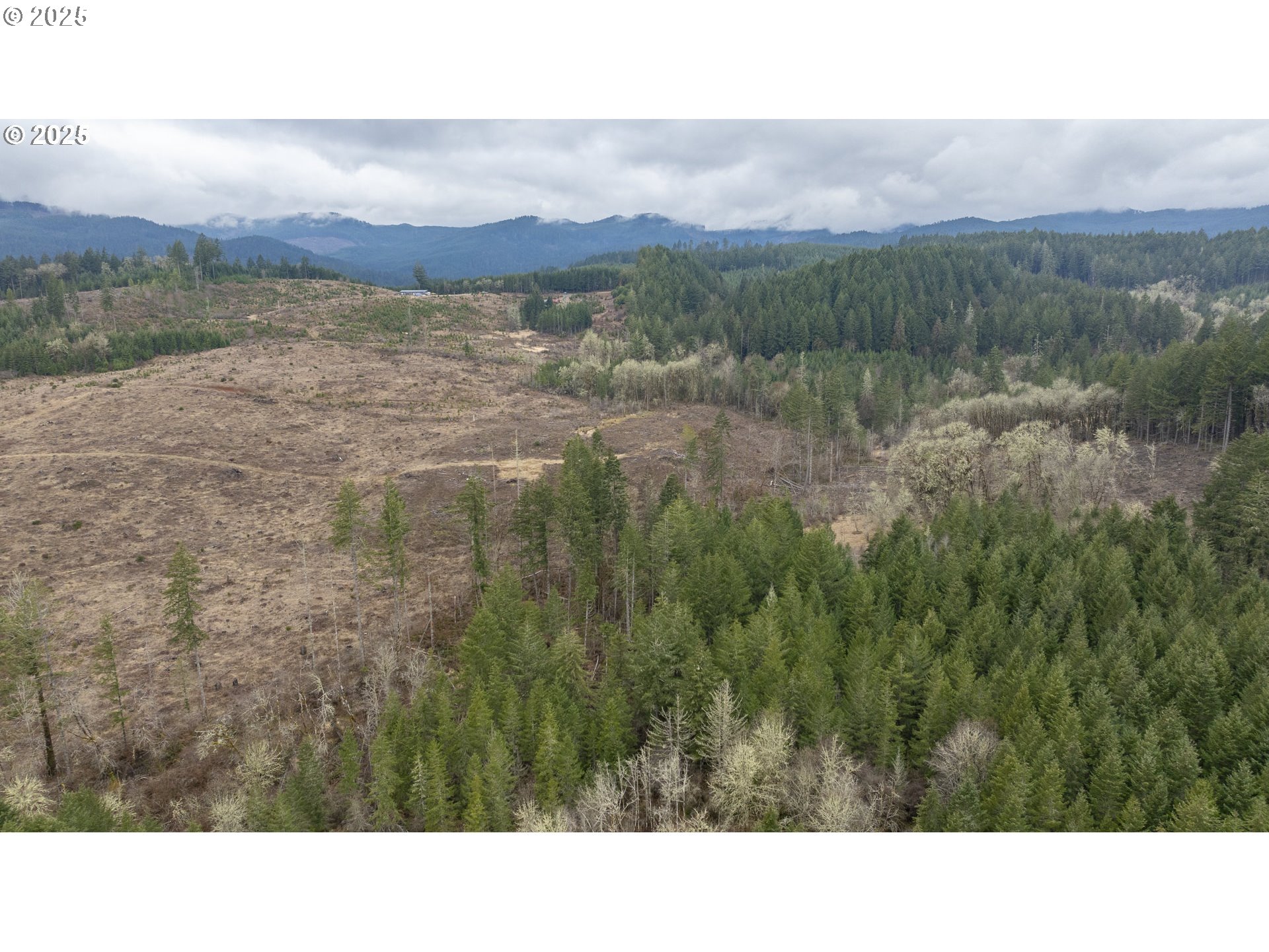 0 NW Panther Creek, Carlton, OR, 97111