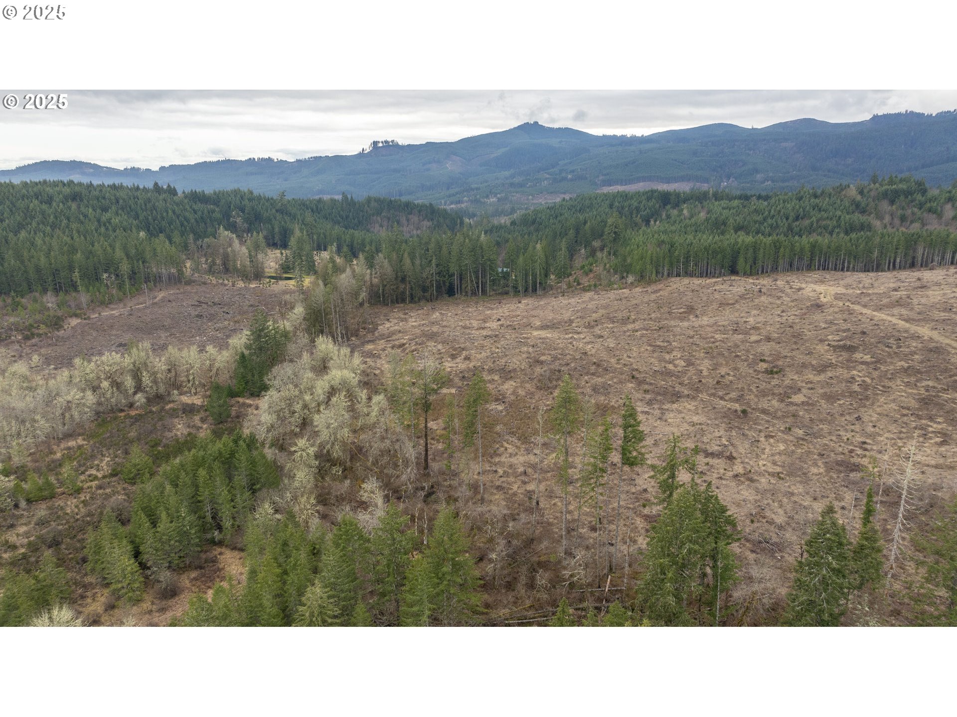 0 NW Panther Creek, Carlton, OR, 97111