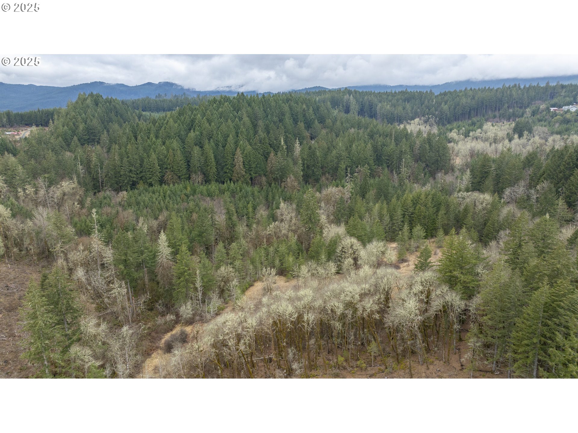 0 NW Panther Creek, Carlton, OR, 97111