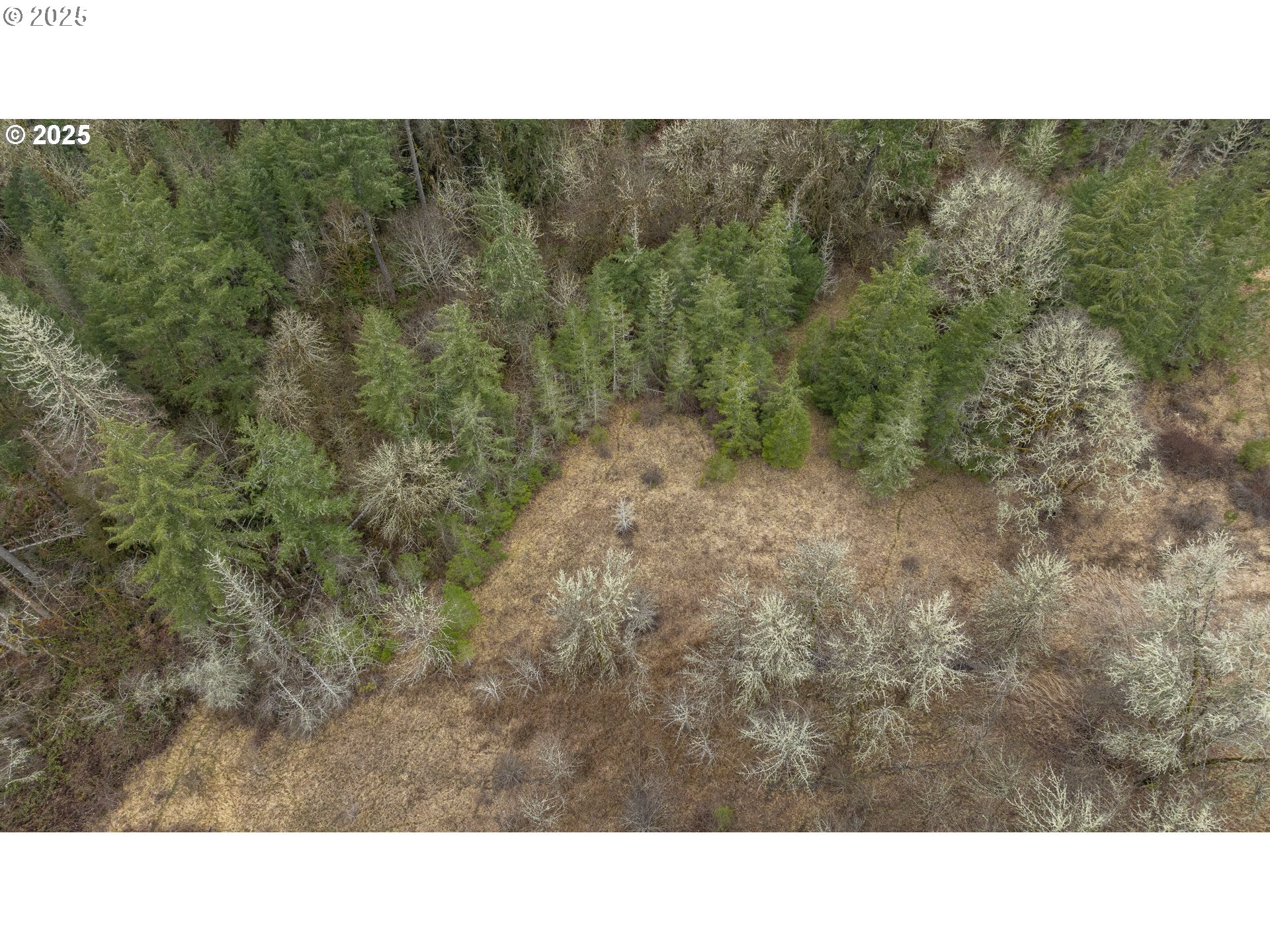 0 NW Panther Creek, Carlton, OR, 97111