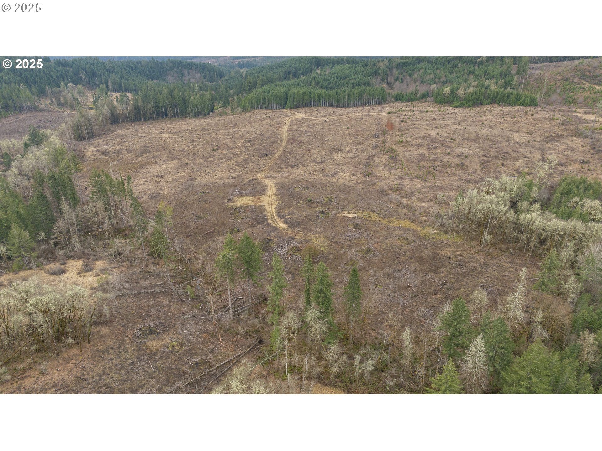 0 NW Panther Creek, Carlton, OR, 97111