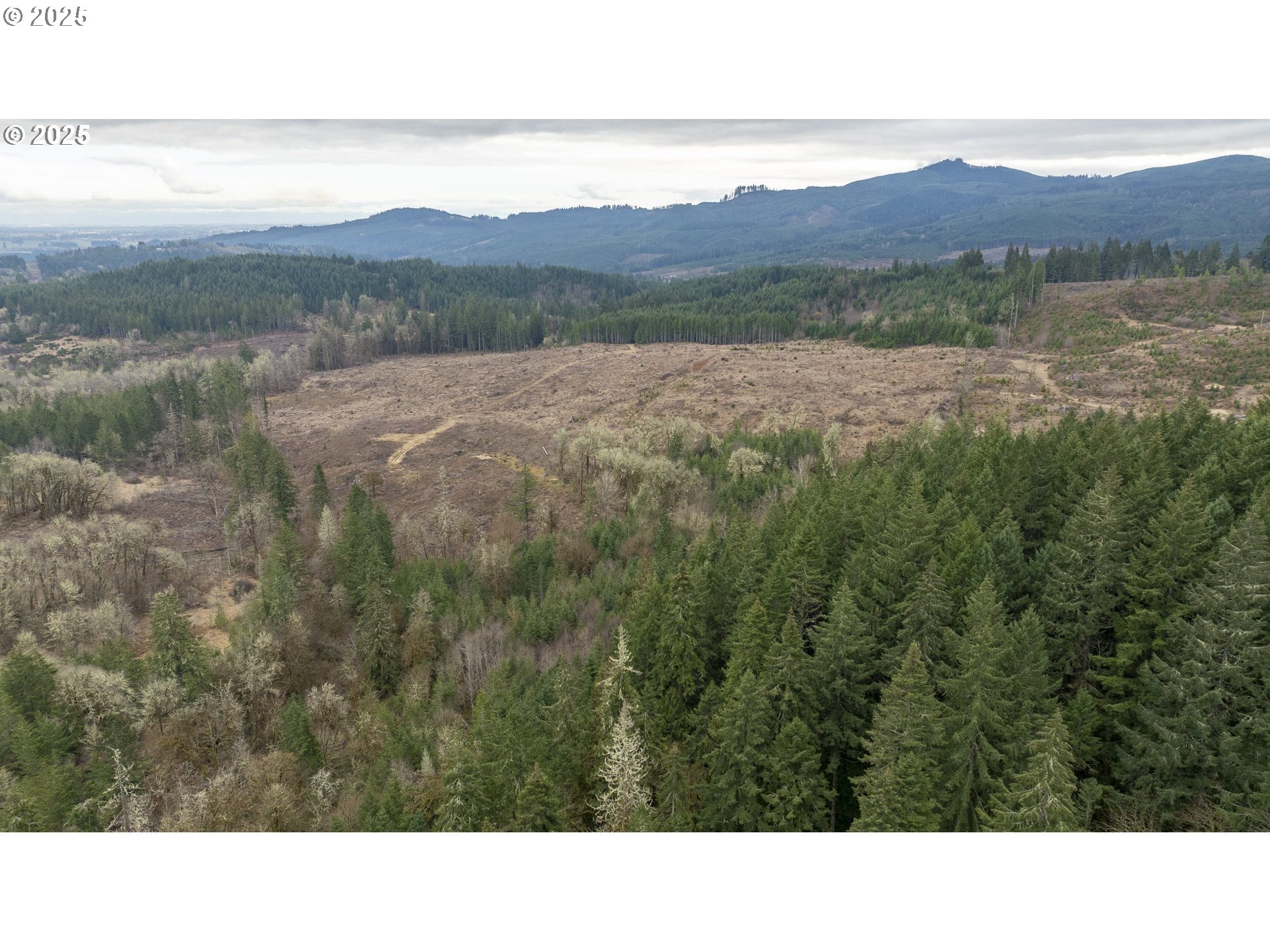 0 NW Panther Creek, Carlton, OR, 97111