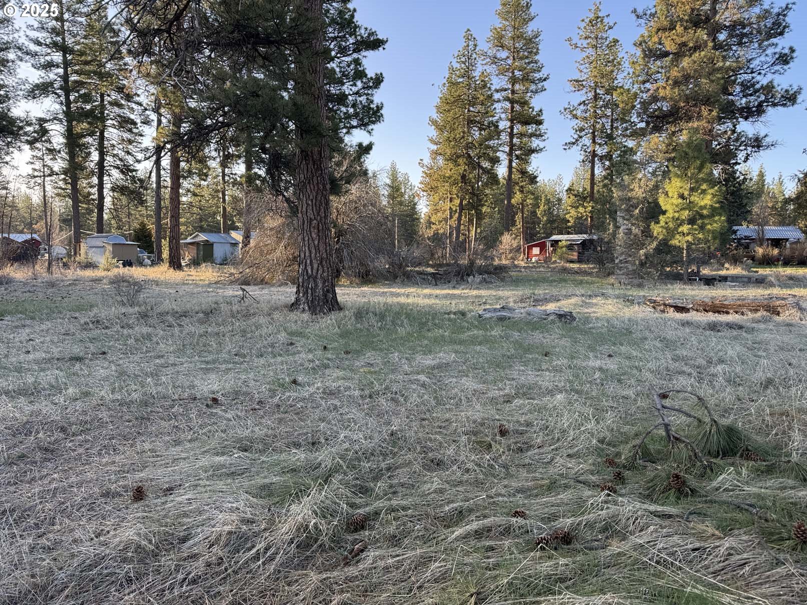 Search Homes for Sale