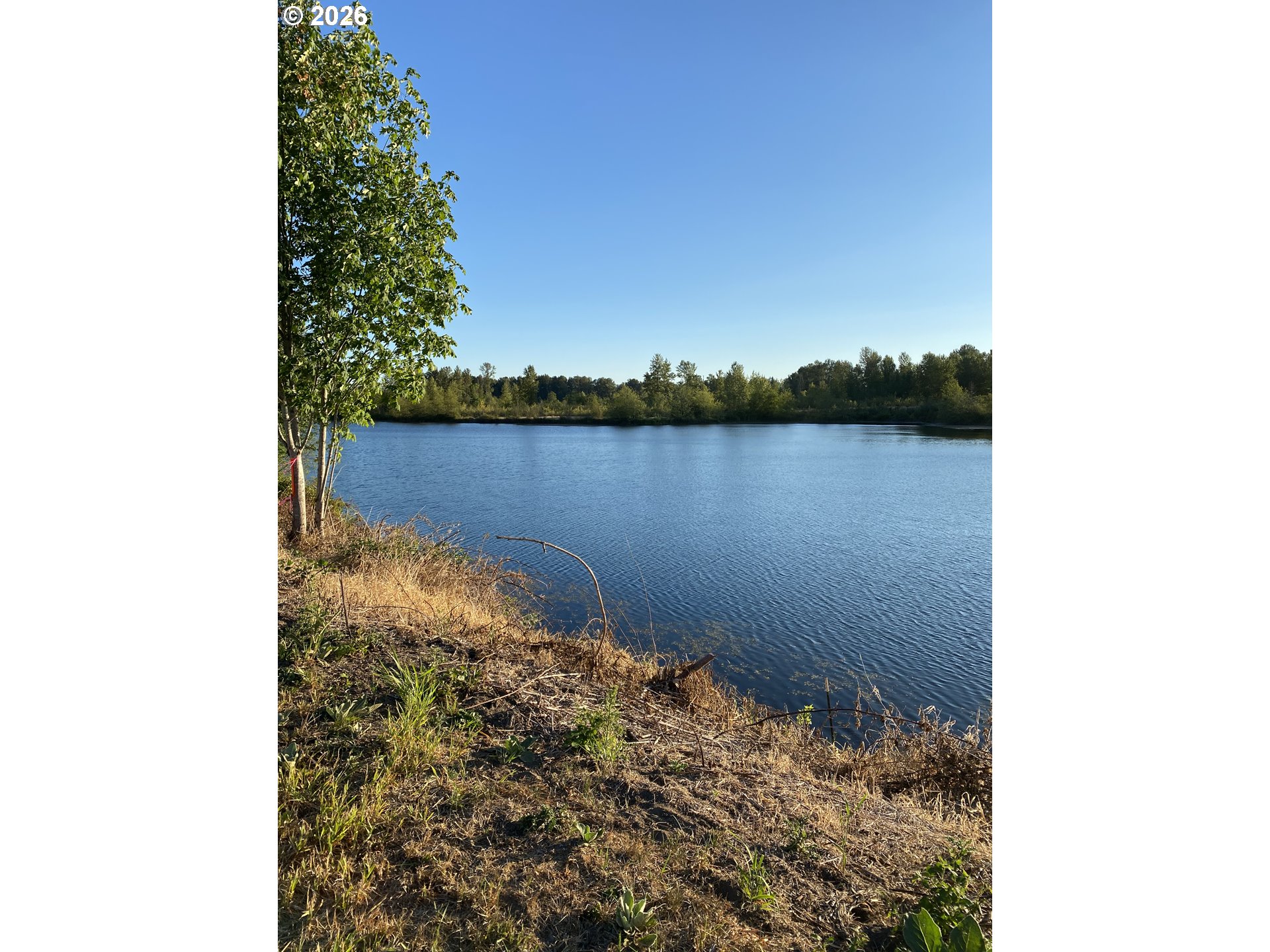 Photo of 243 COLLINS RD Toledo WA 98591