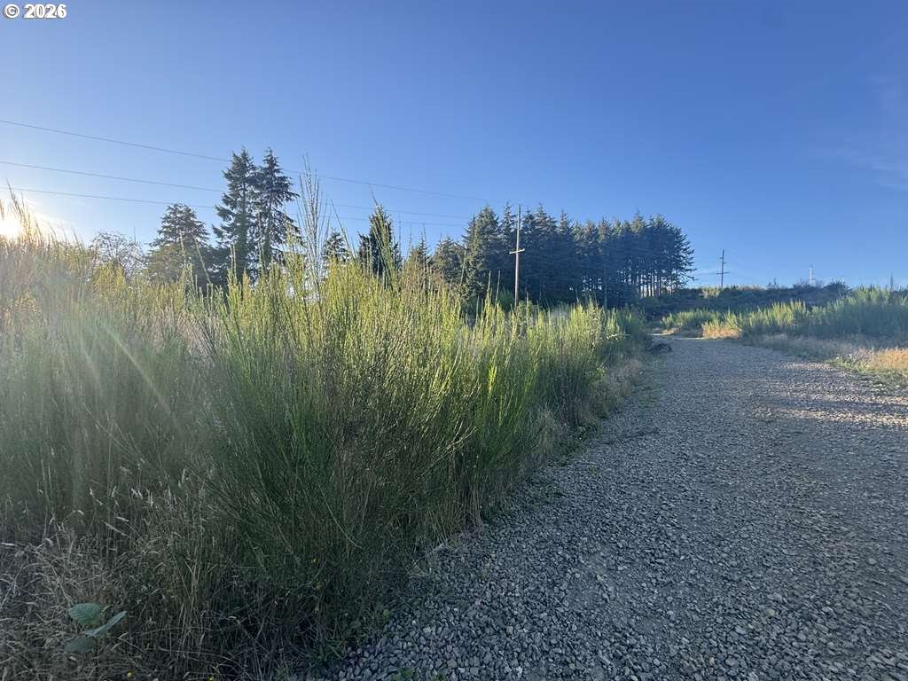 Search Homes for Sale