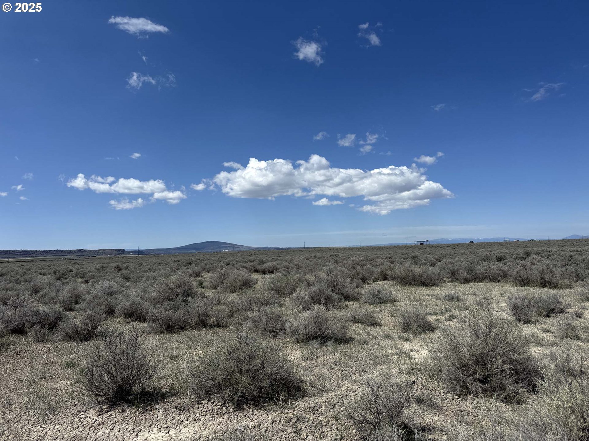 Search Homes for Sale