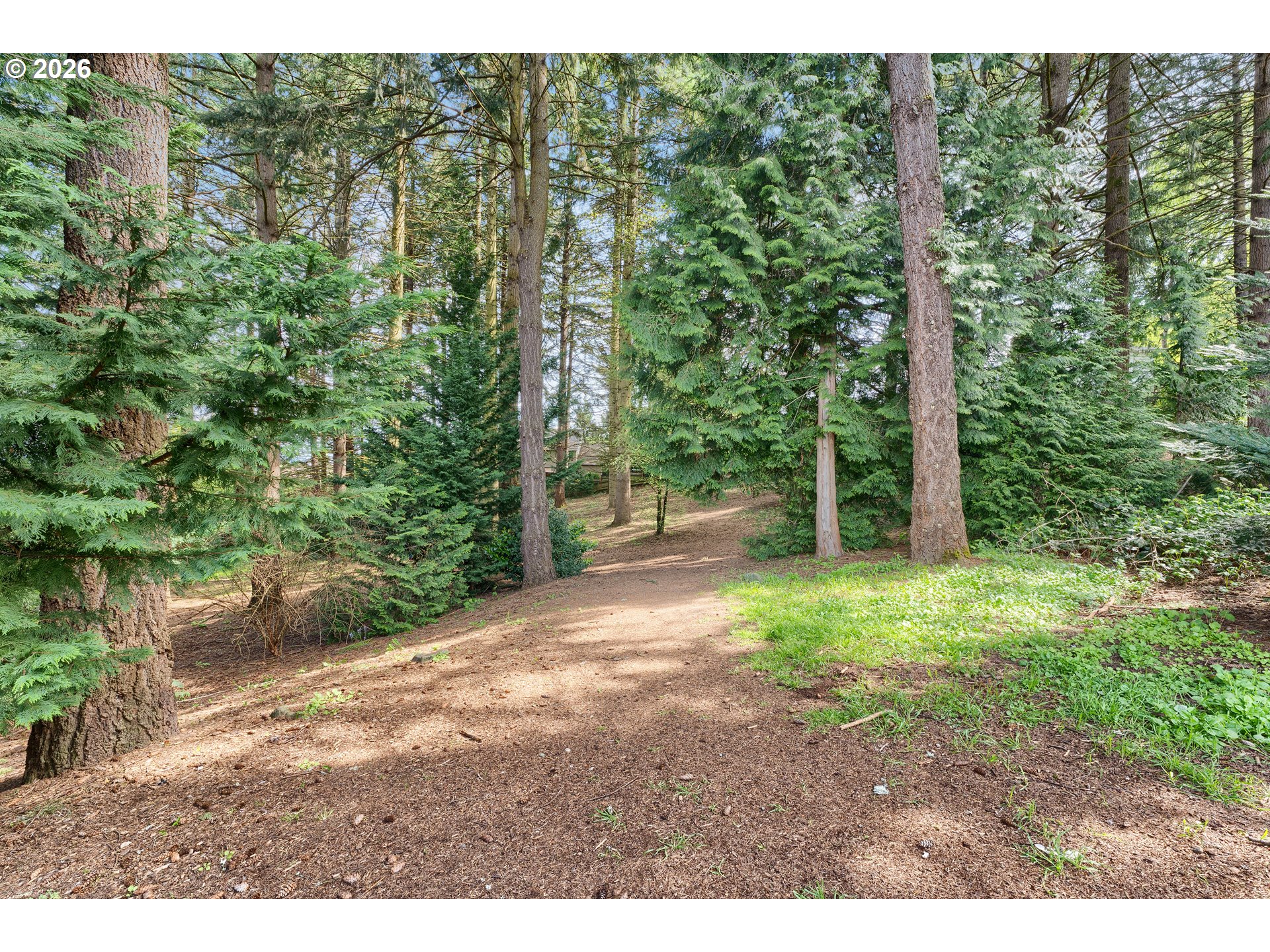 Photo #38: 575820205 Listing: Photo #38