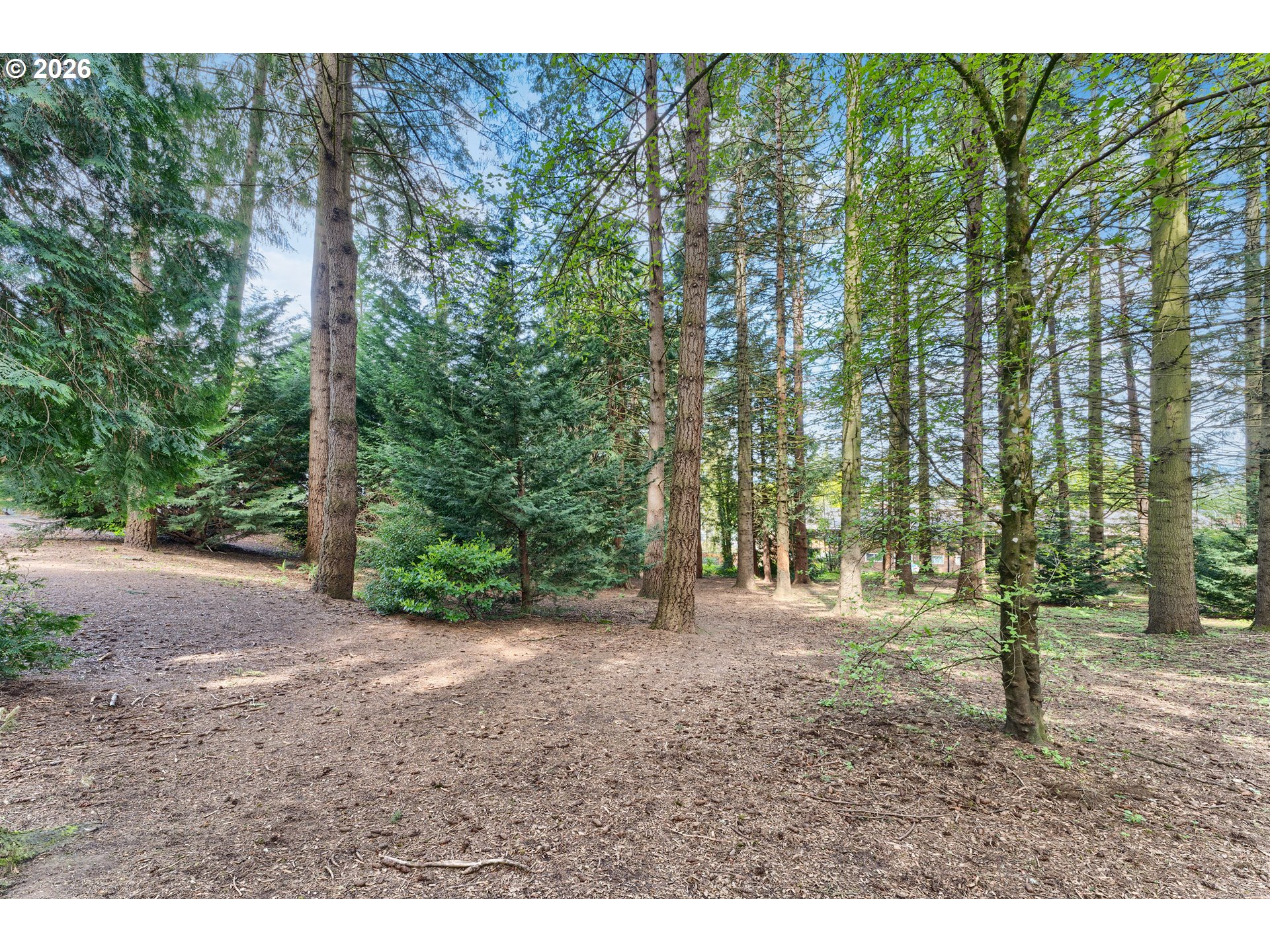 Photo #39: 575820205 Listing: Photo #39