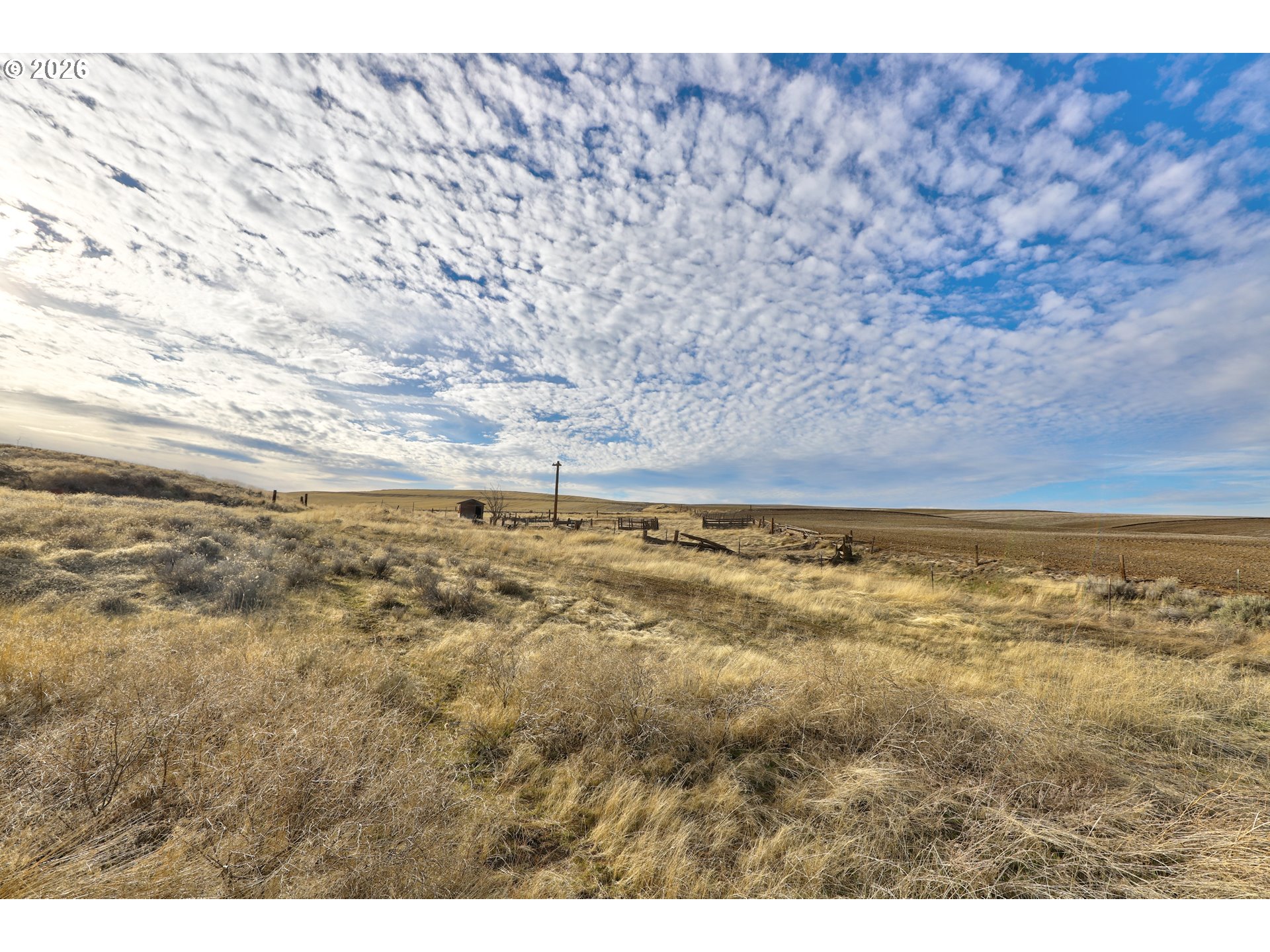 Search Homes for Sale