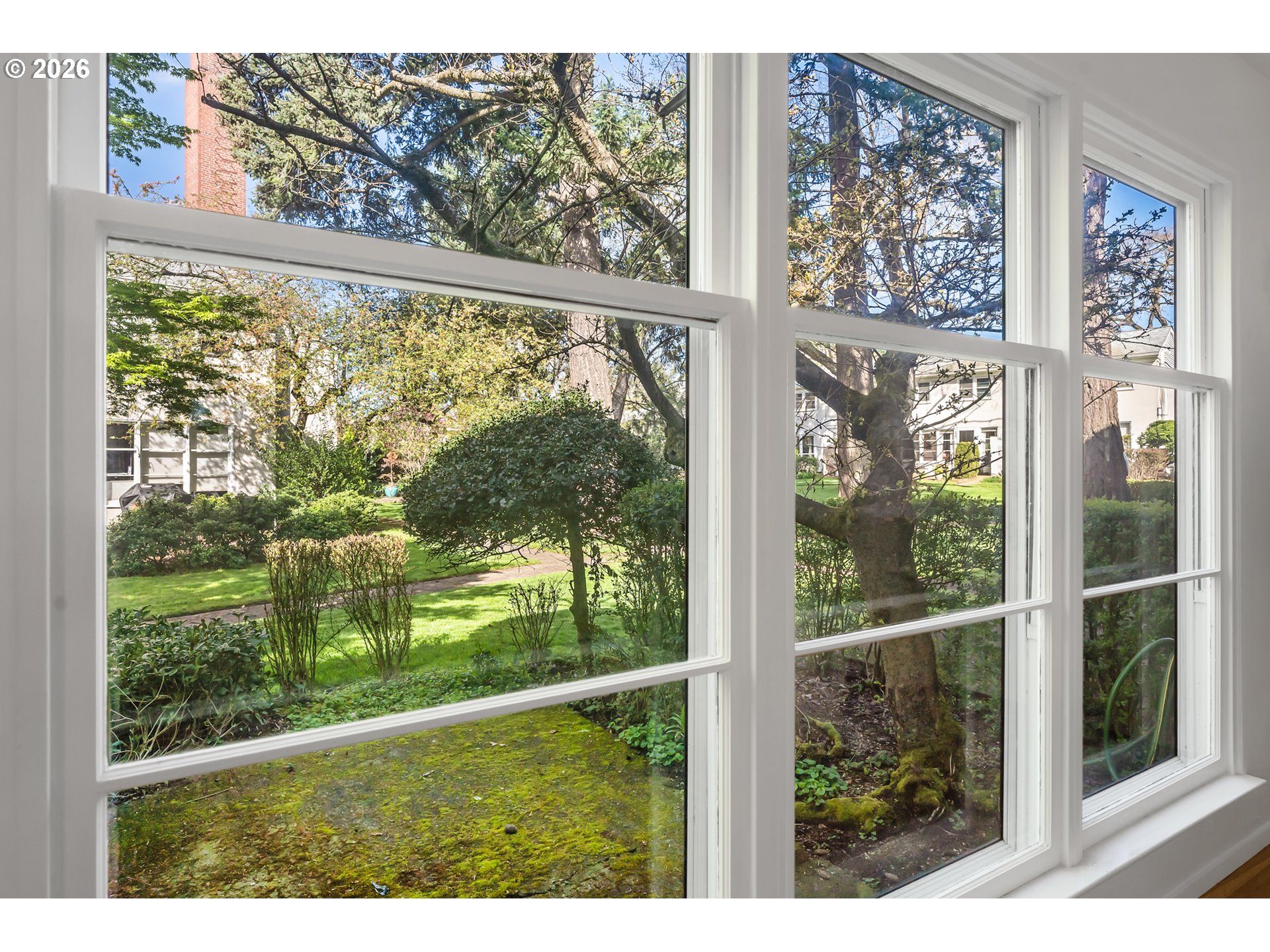 Photo #7: 577713446 Listing: Photo #7