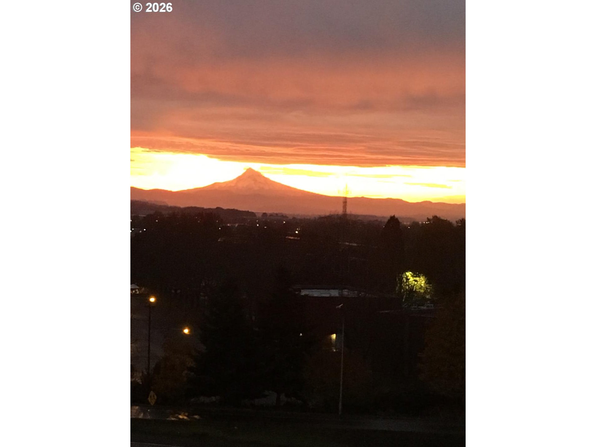 Photo #33: 579796932 Listing: Photo #33