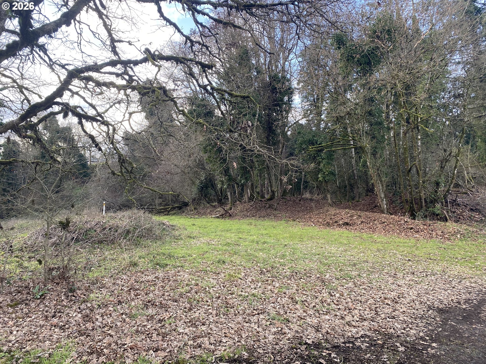 Search Homes for Sale