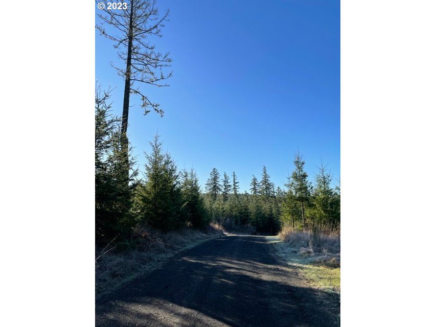 Homes on Acreage
